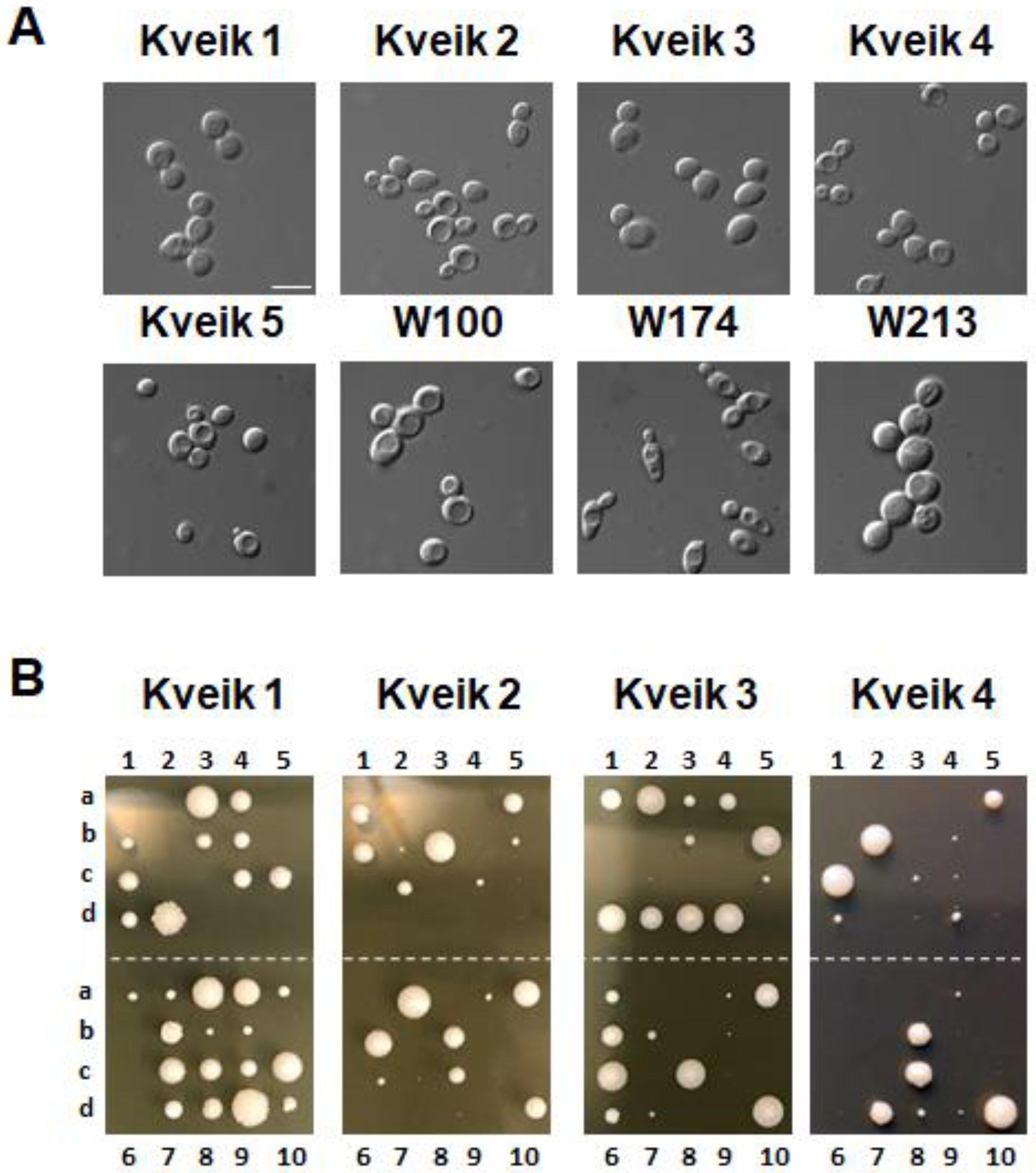 Microorganisms 10 01922 g001