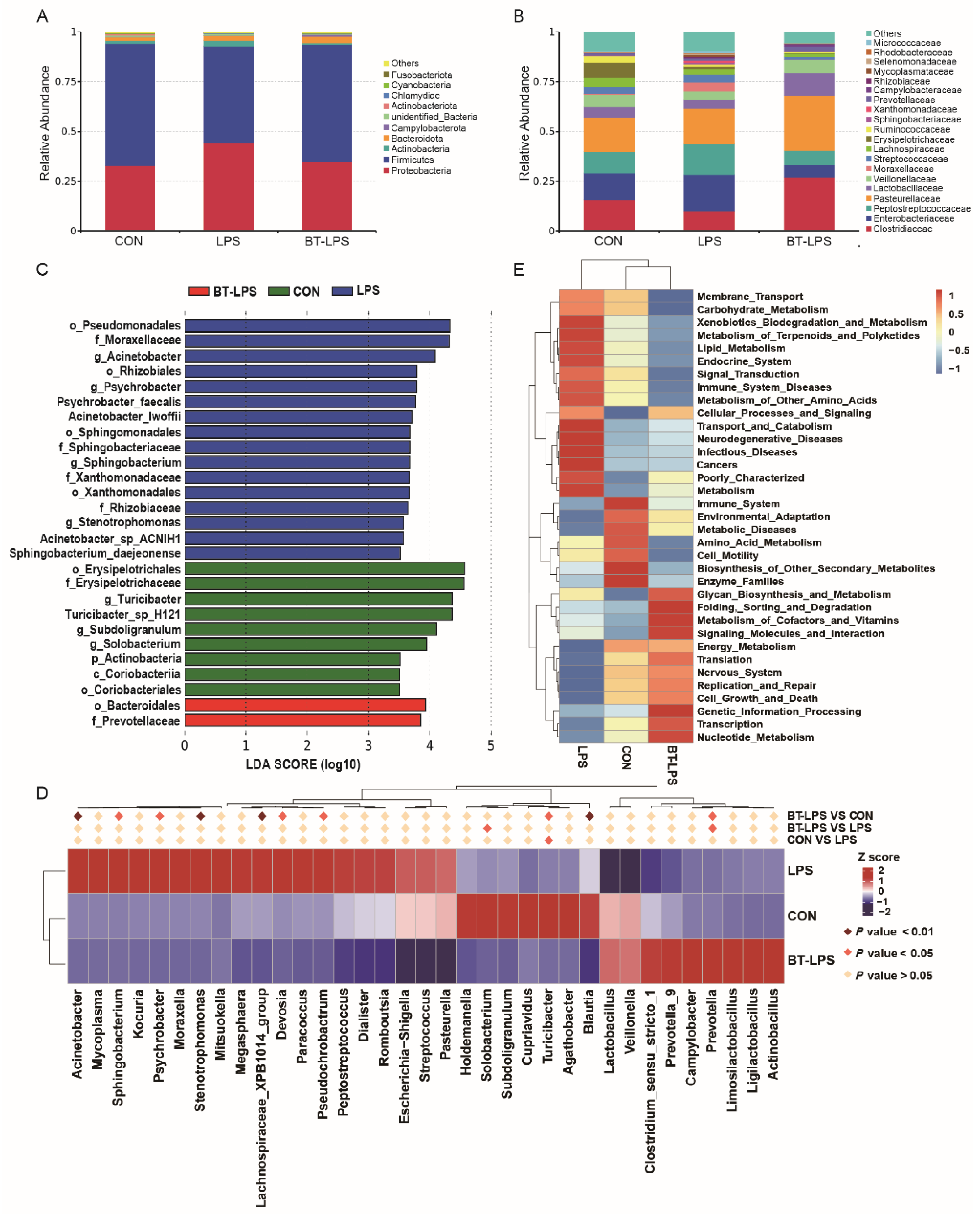 Microorganisms 10 02001 g004
