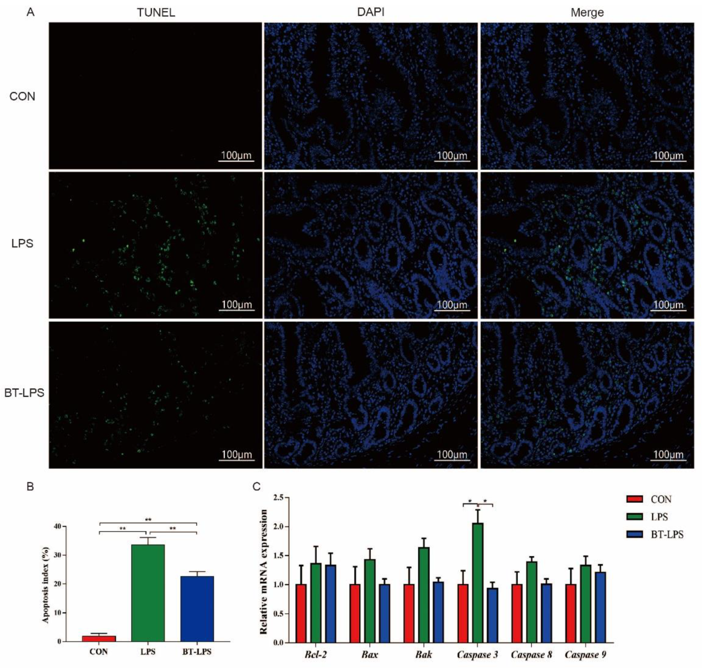 Microorganisms 10 02001 g006