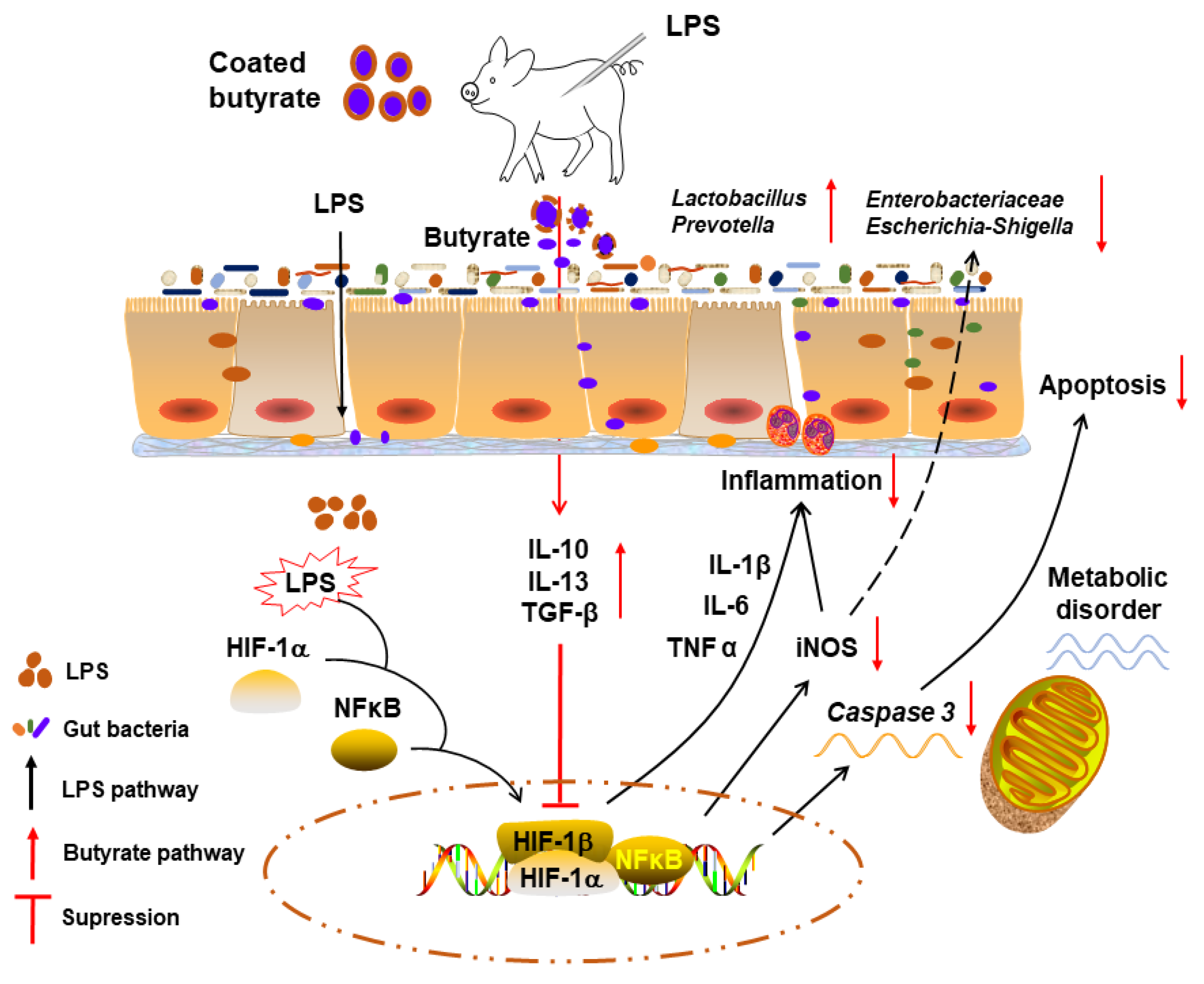 Microorganisms 10 02001 g008