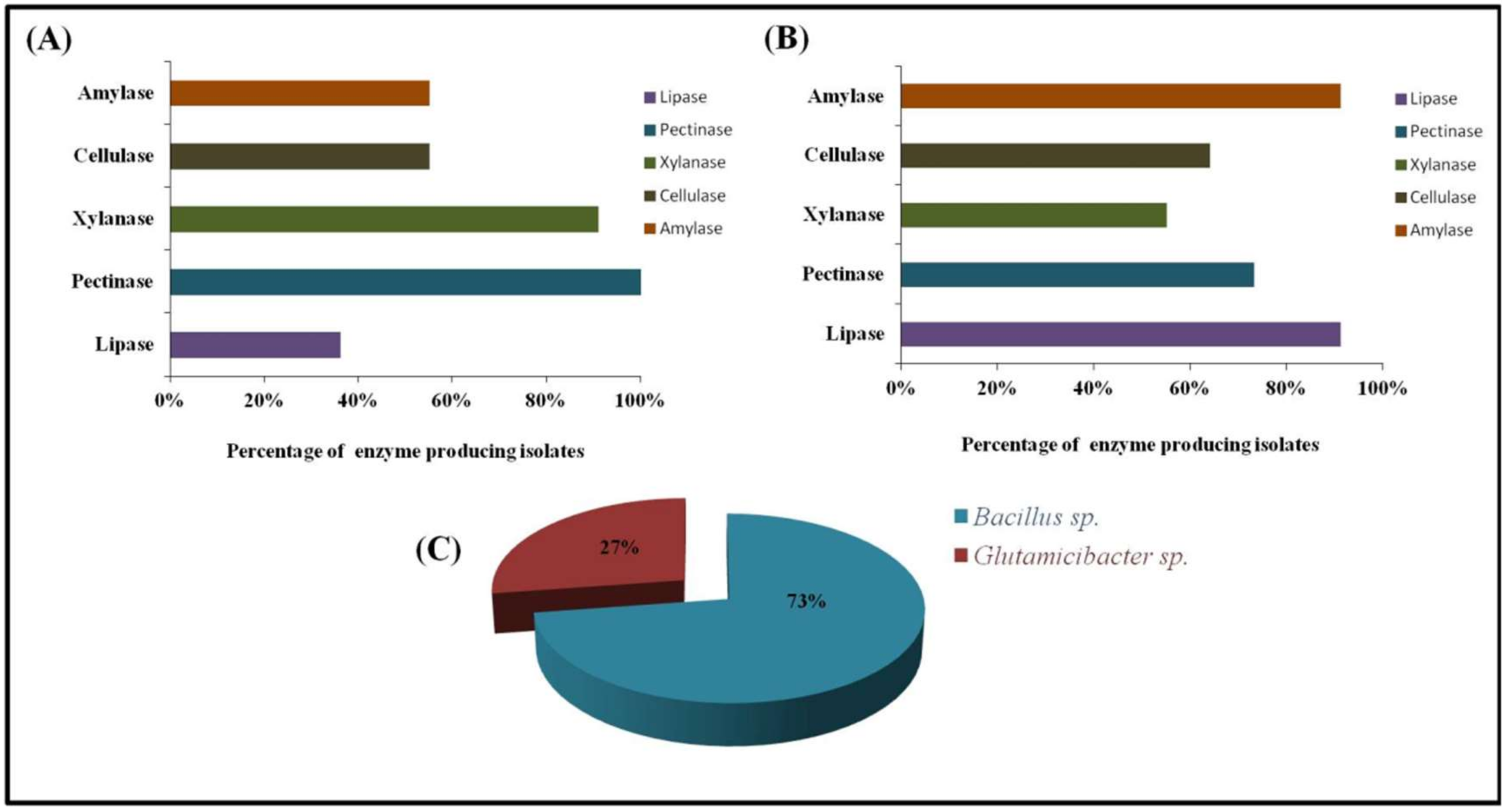 Microorganisms 10 02112 g002