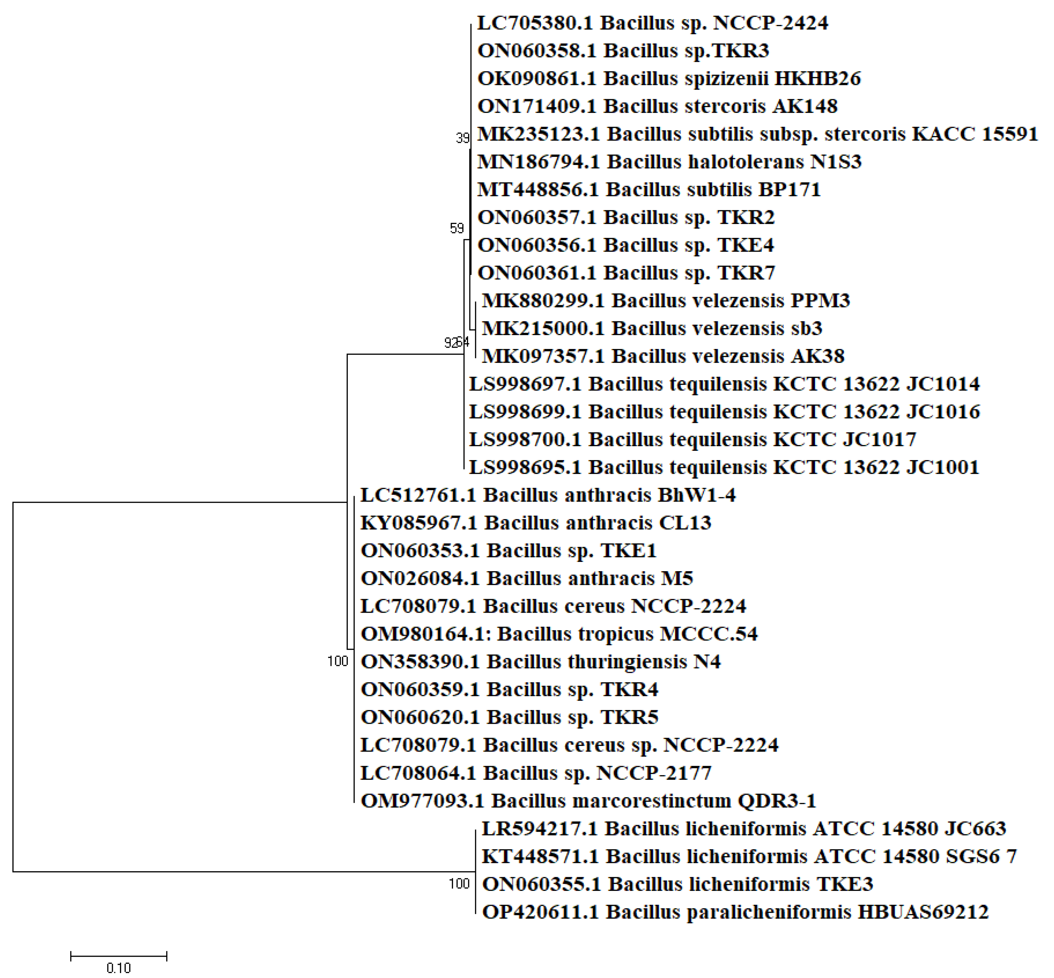 Microorganisms 10 02112 g003