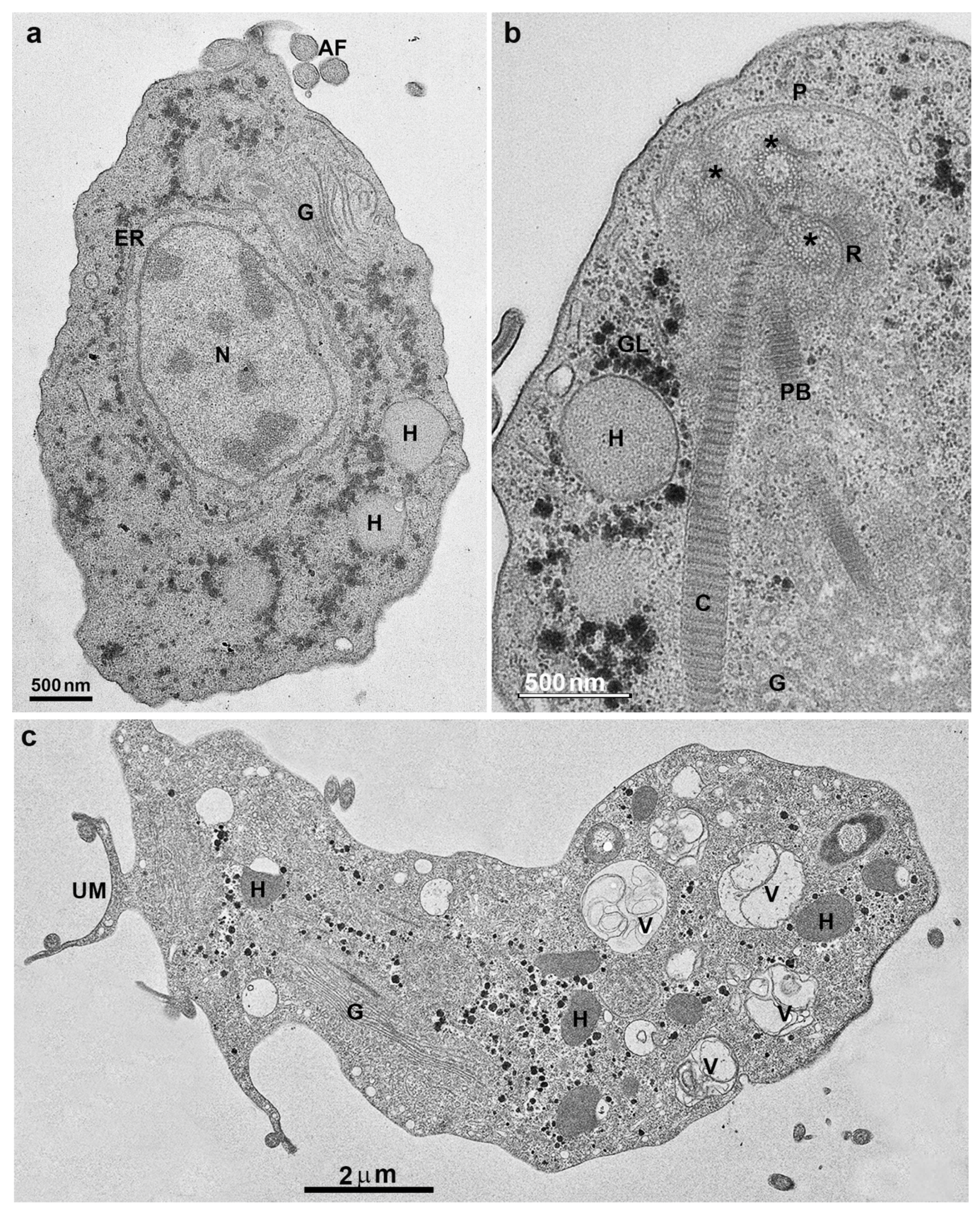 Microorganisms 10 02176 g003
