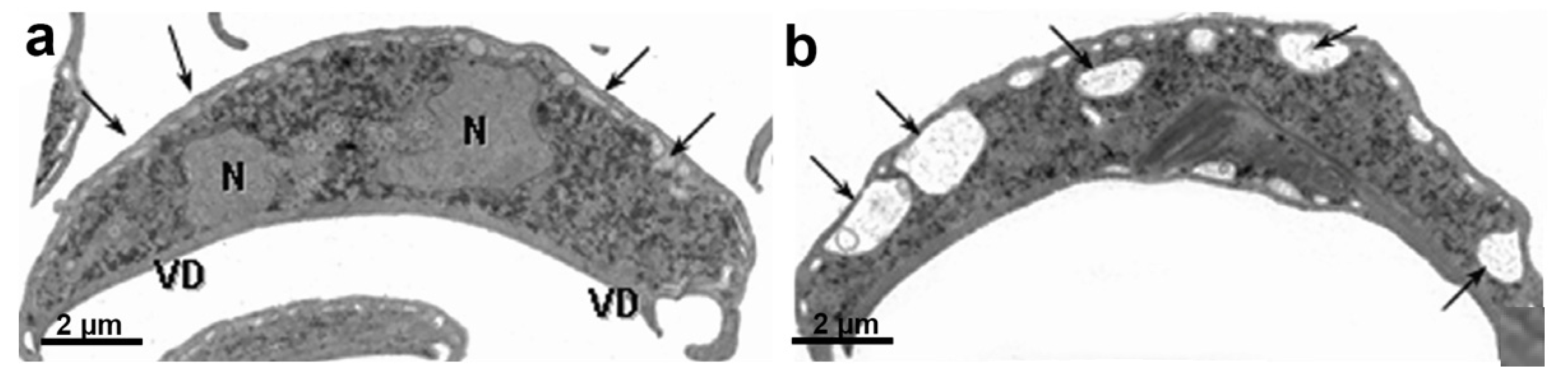 Microorganisms 10 02176 g018
