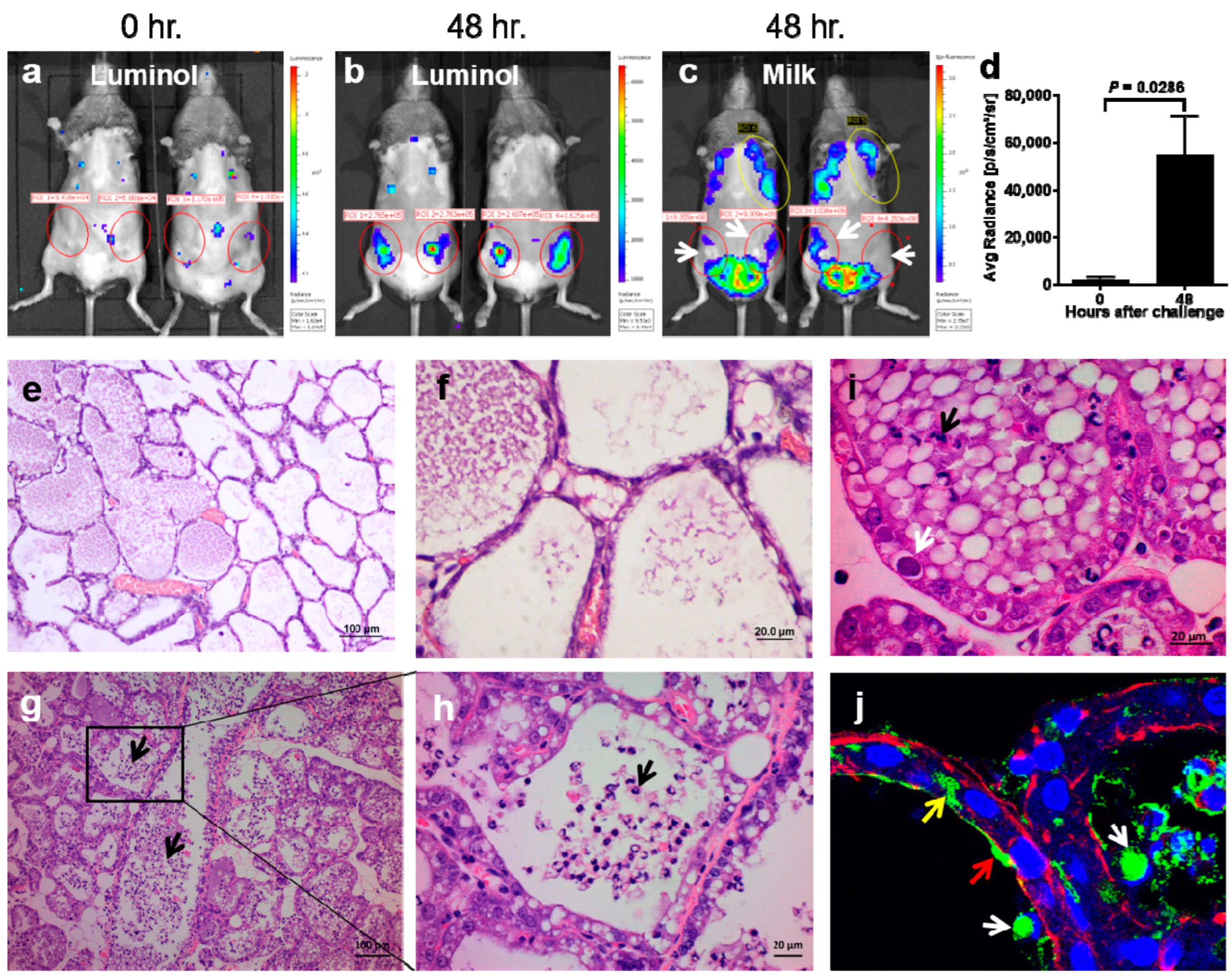 Microorganisms 10 02209 g002