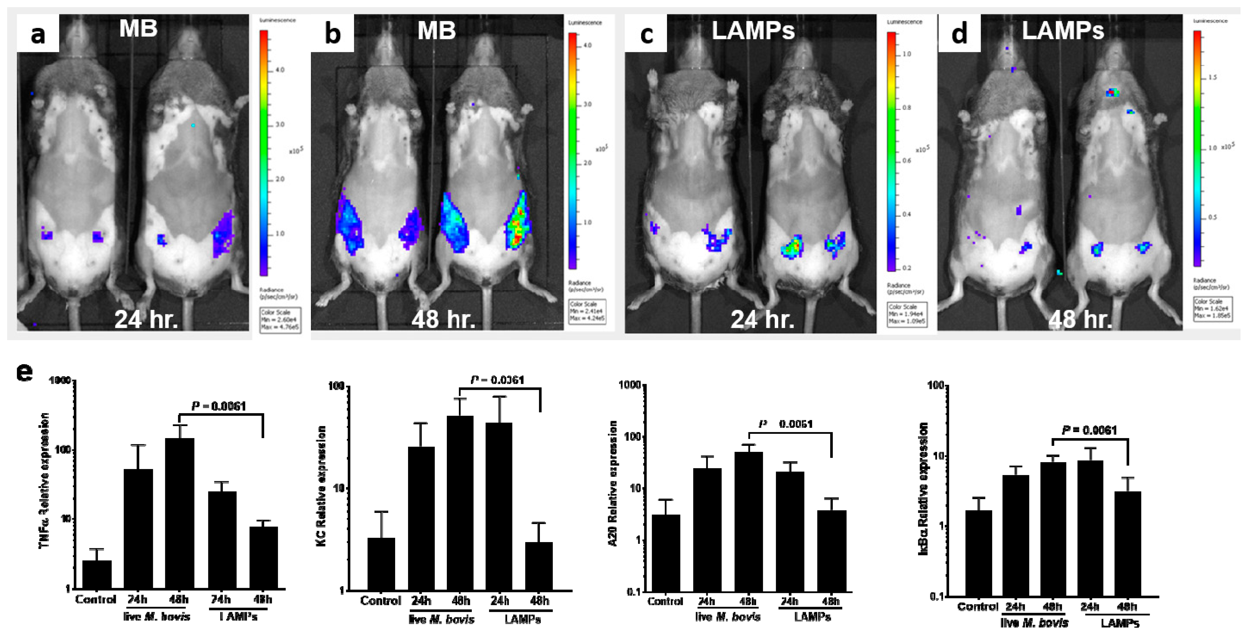 Microorganisms 10 02209 g004