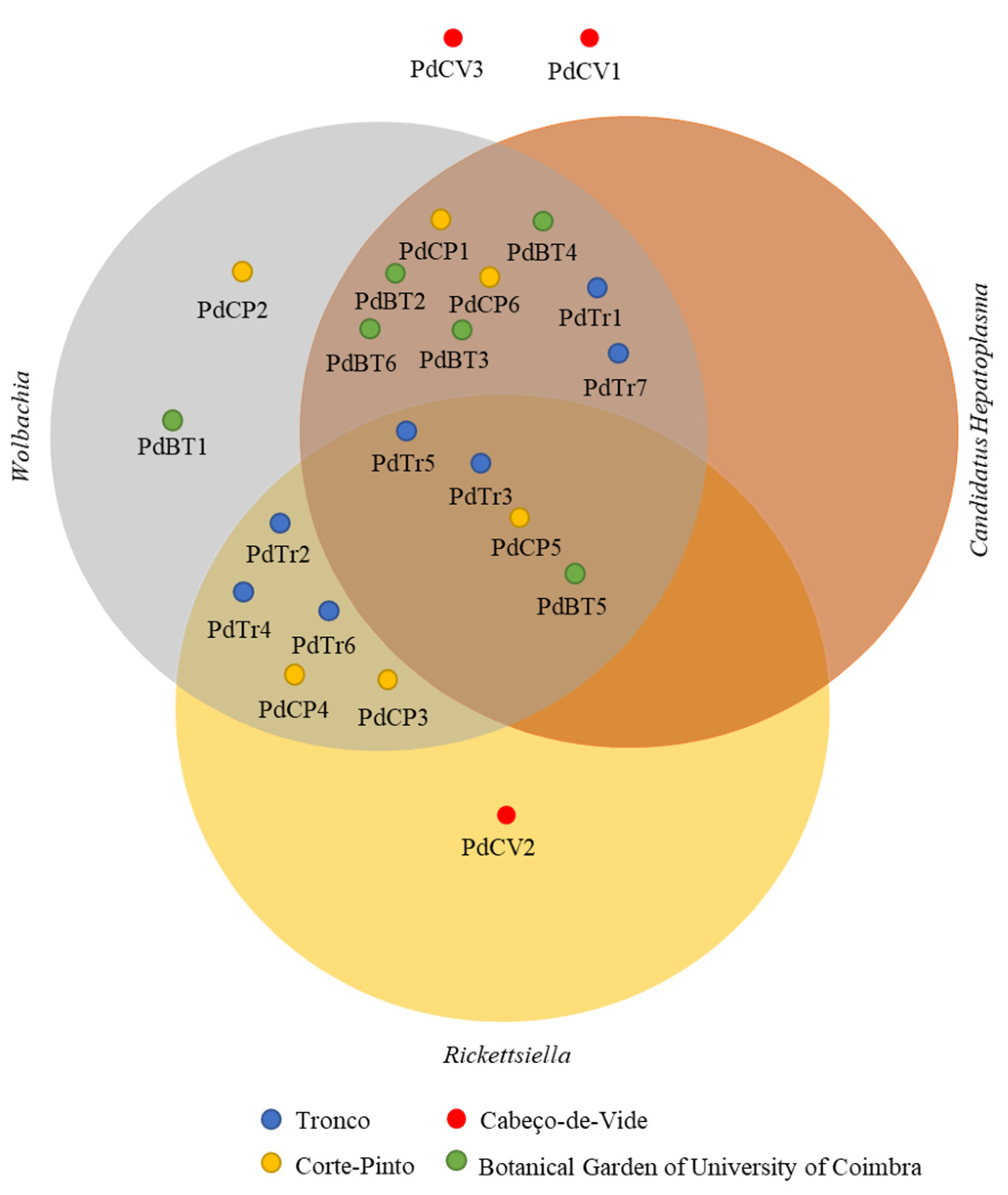 Microorganisms 10 02230 g005