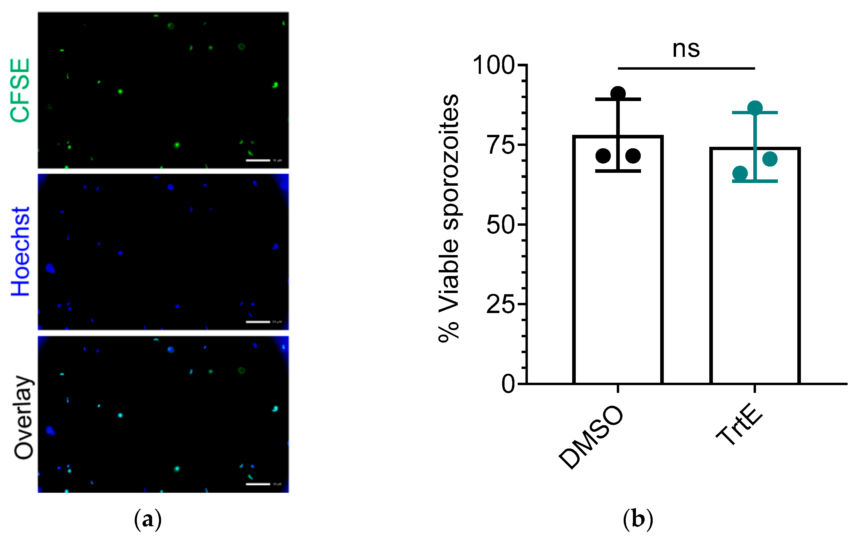 Microorganisms 10 02260 g004