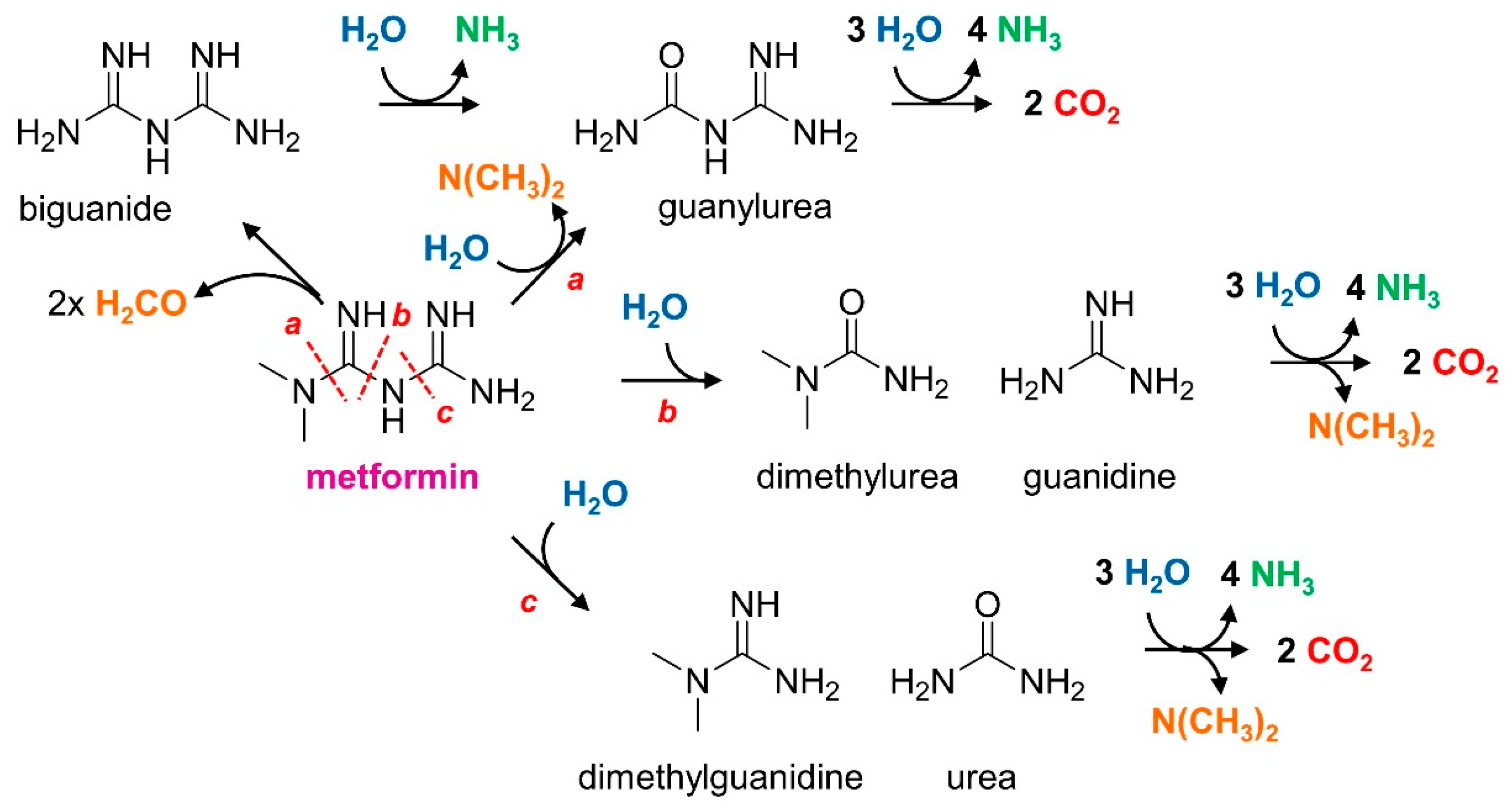 Microorganisms 10 02302 g001