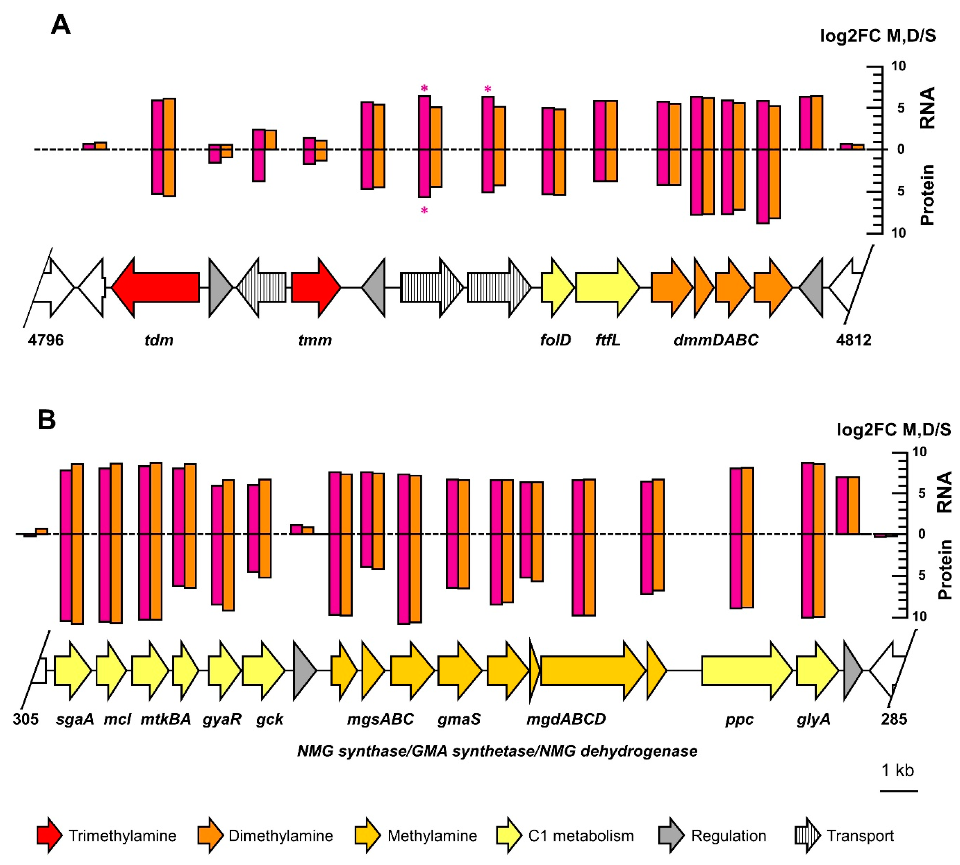 Microorganisms 10 02302 g004