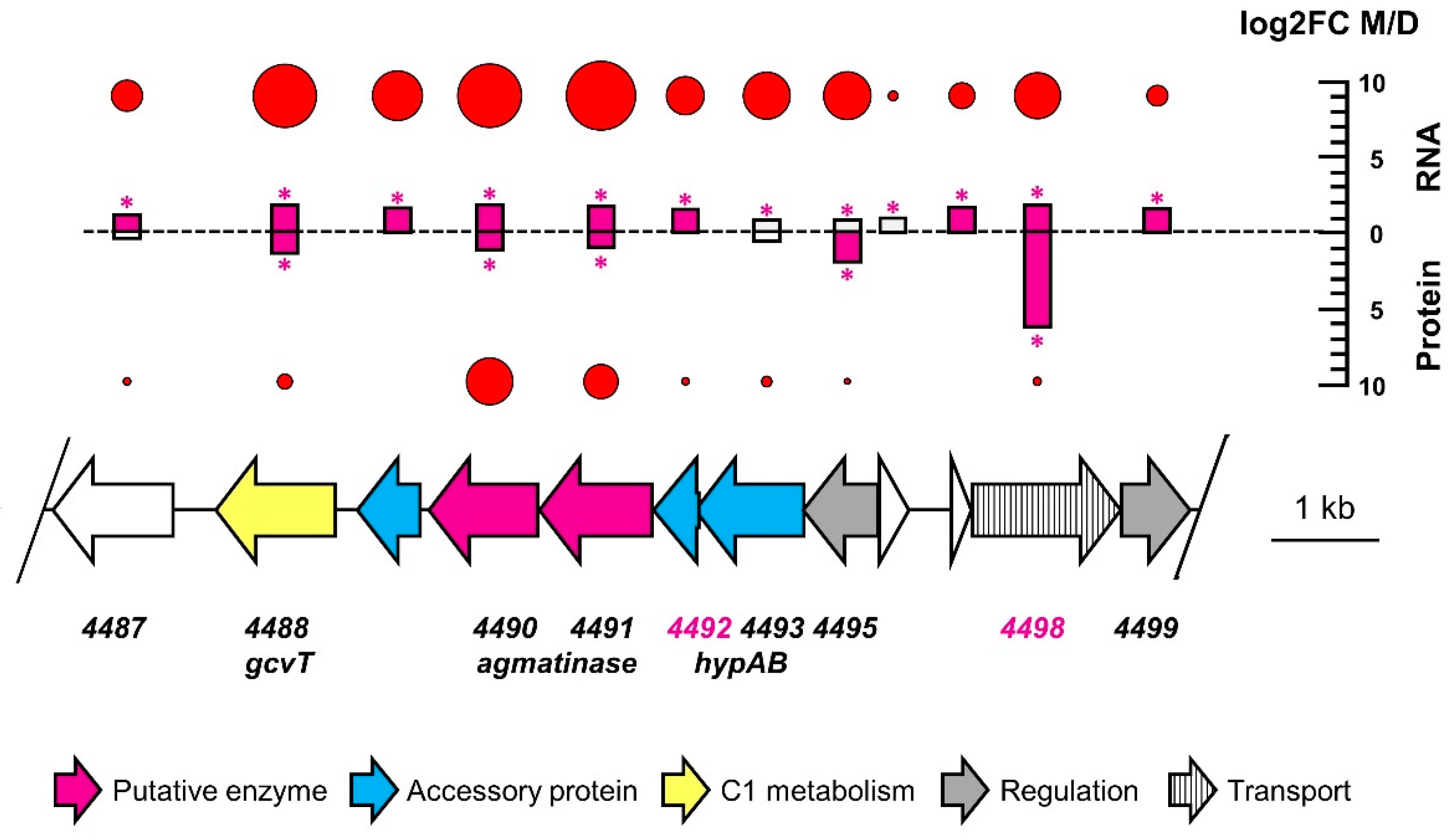 Microorganisms 10 02302 g005
