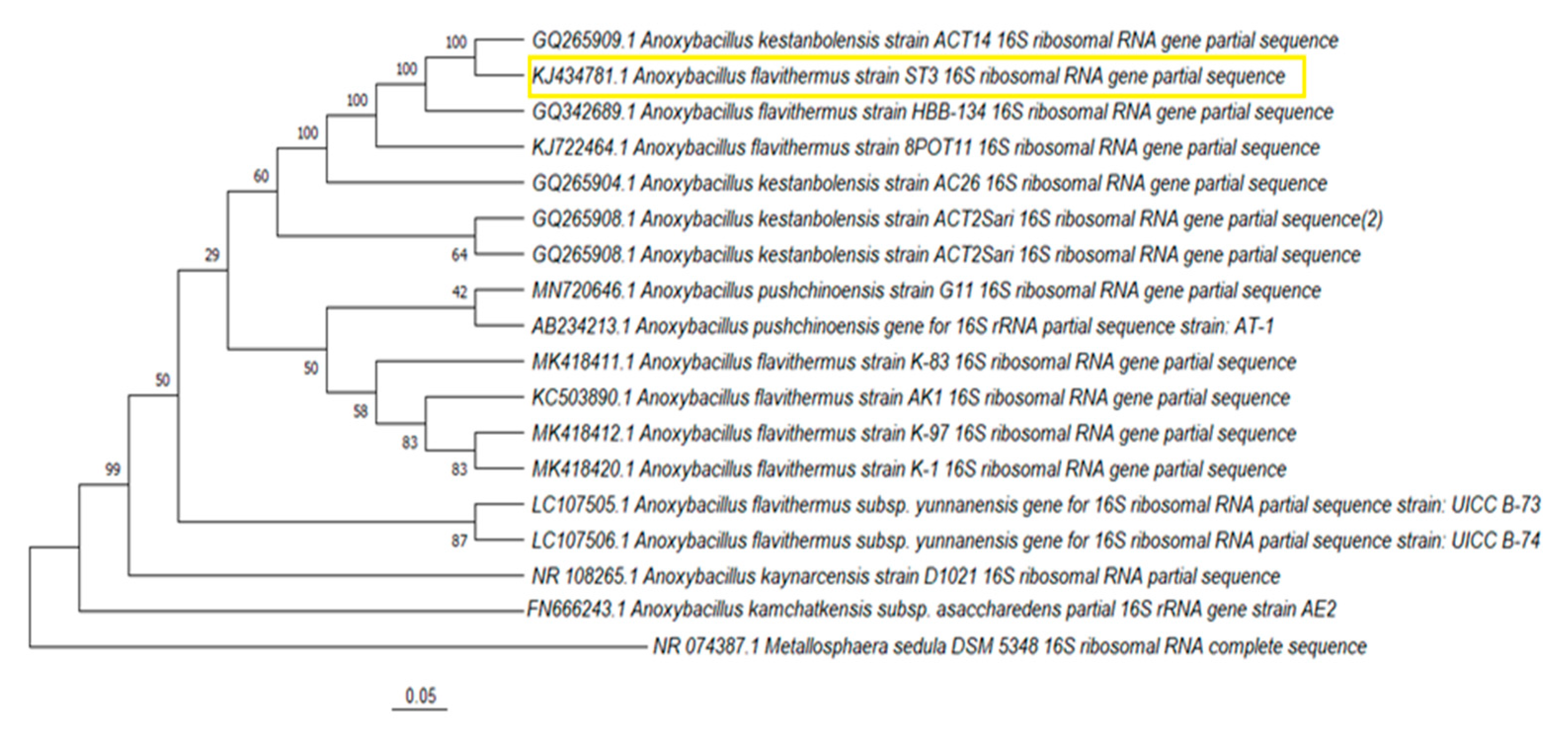 Microorganisms 10 02441 g005