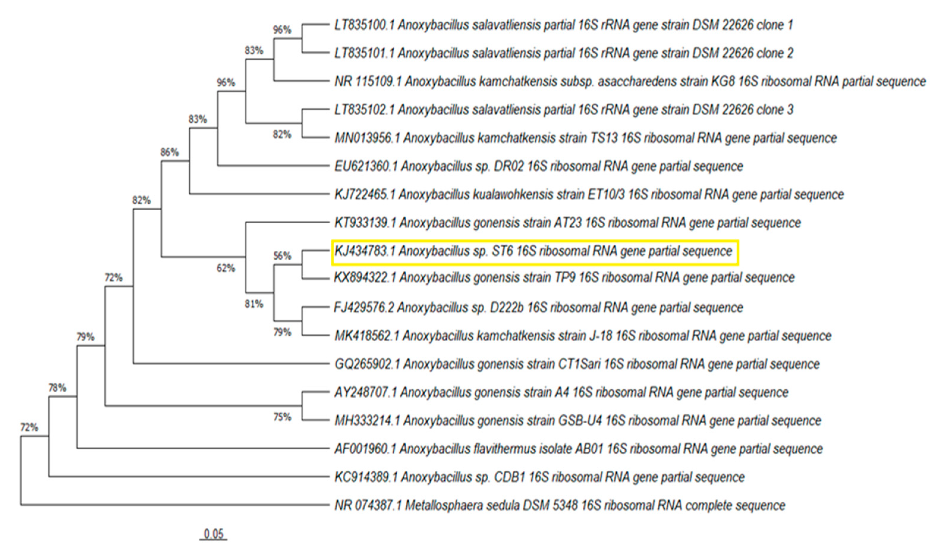 Microorganisms 10 02441 g006