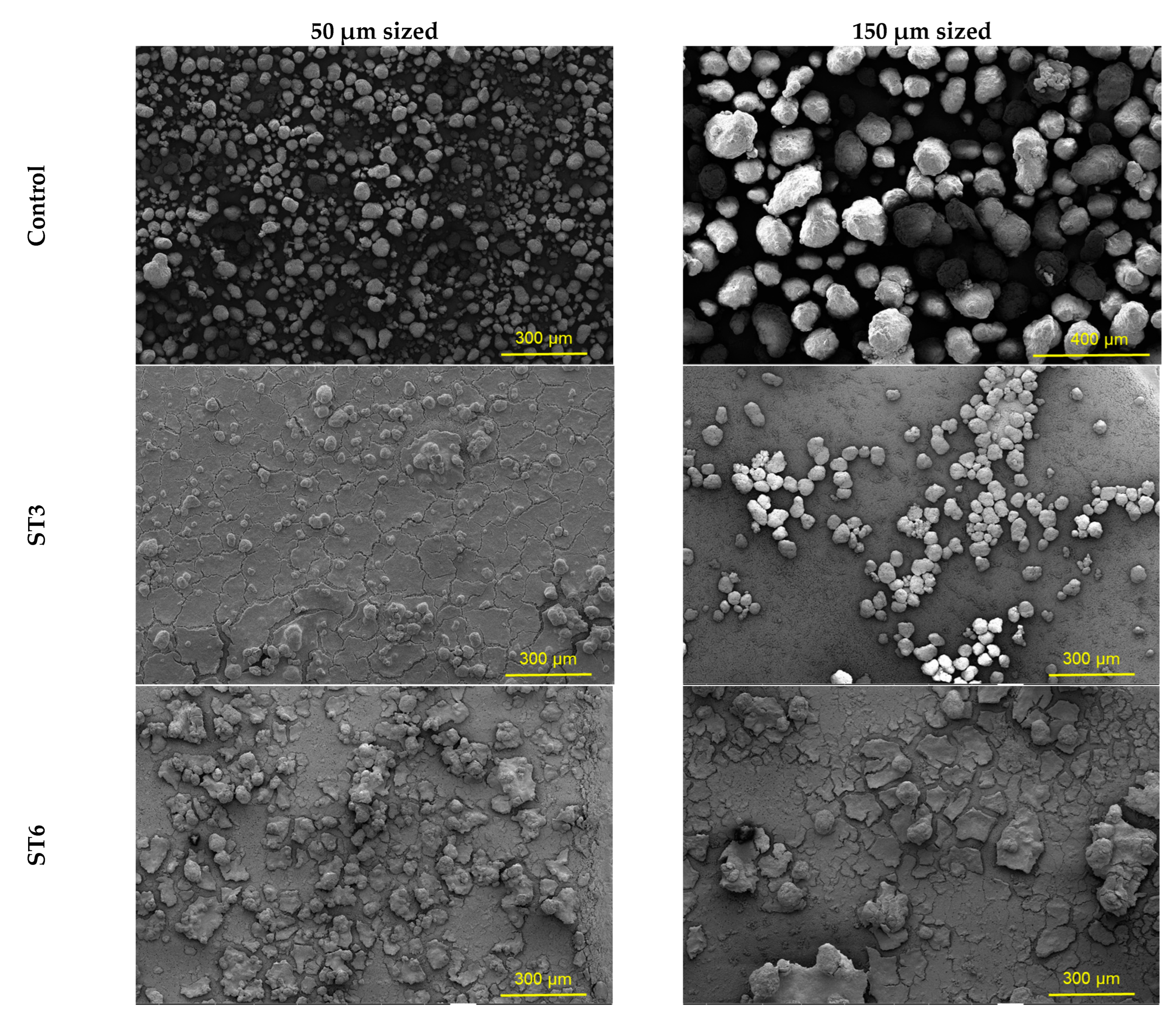 Microorganisms 10 02441 g008