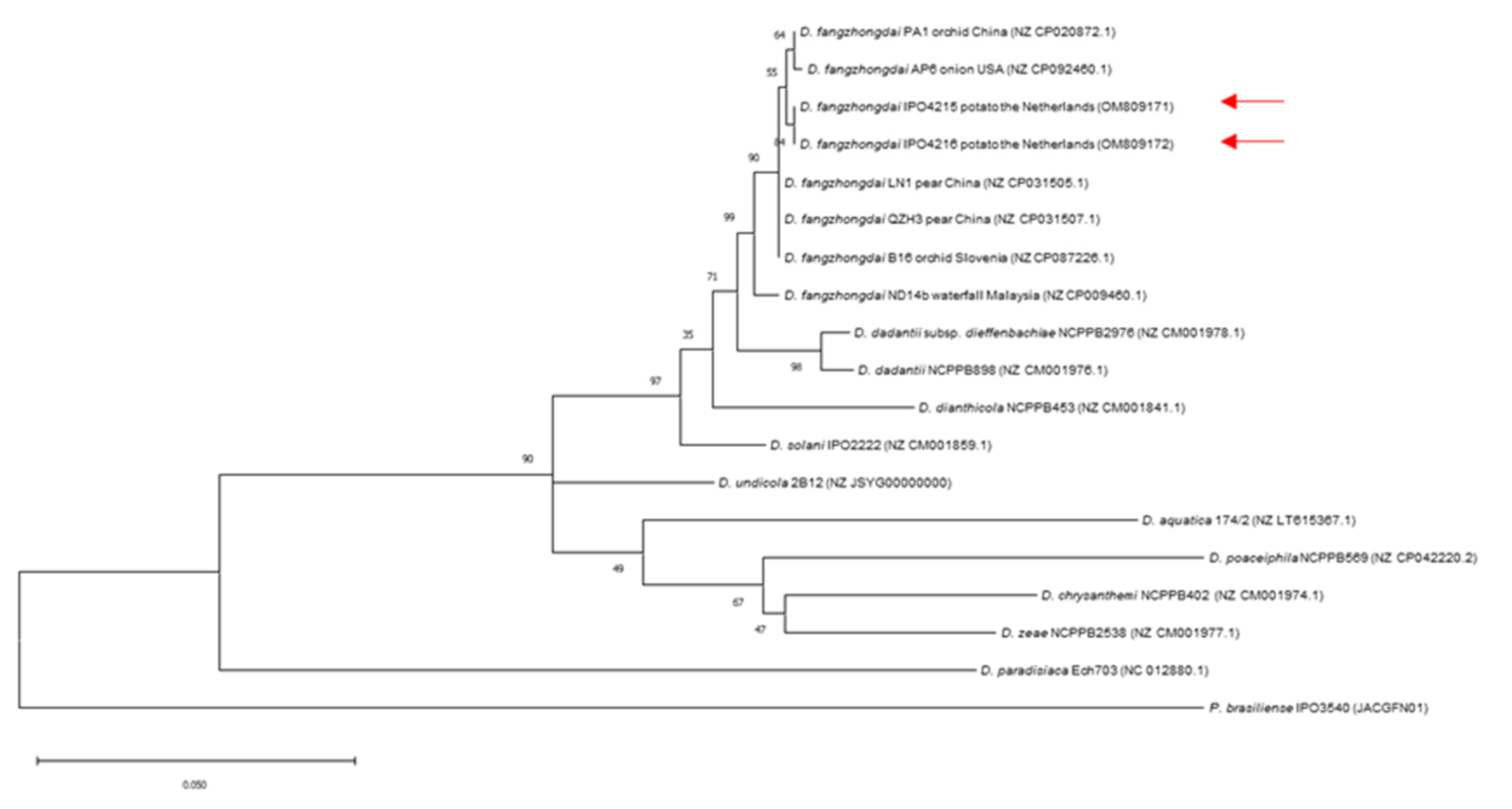 Microorganisms 10 02504 g004