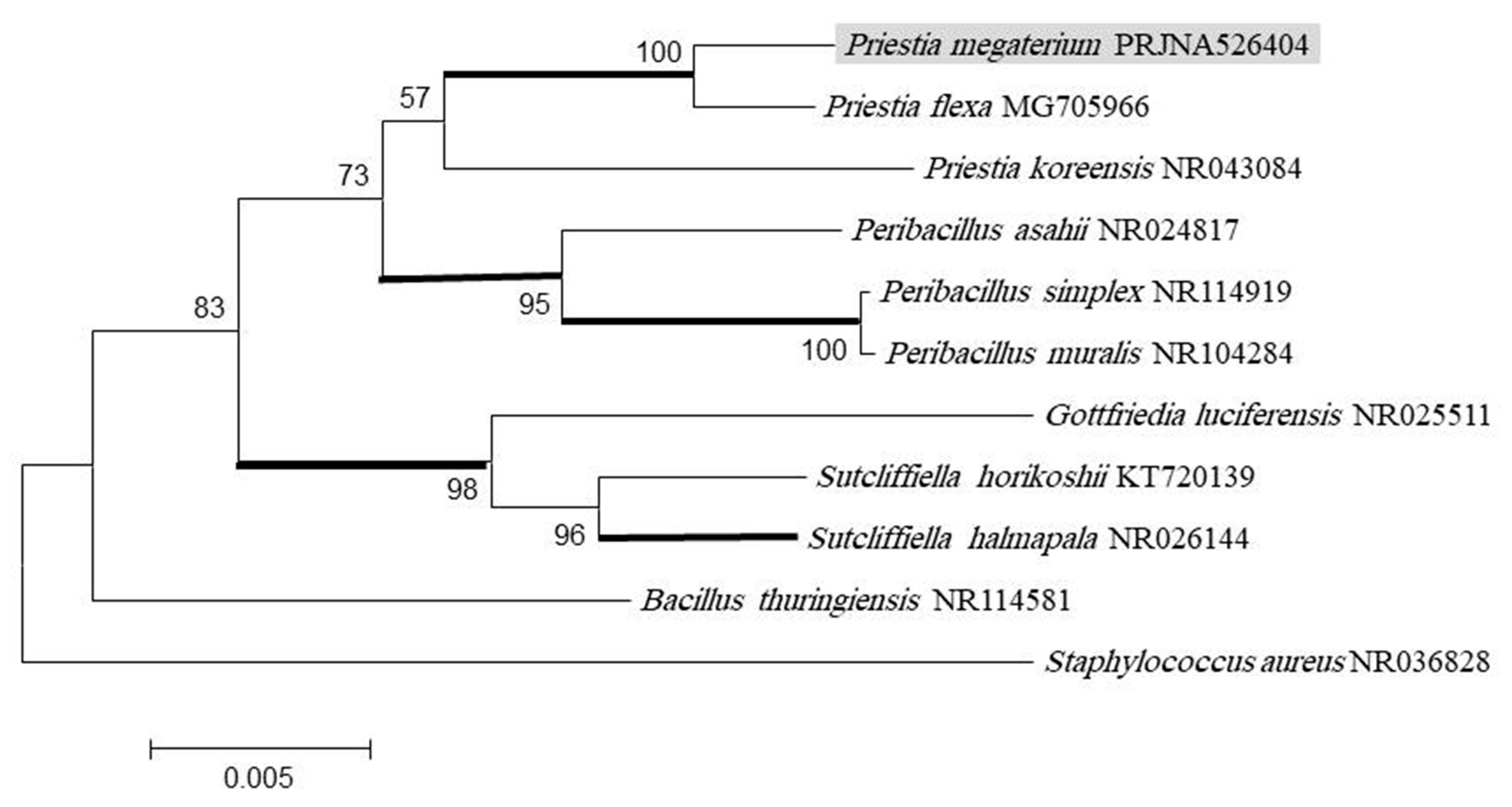 Microorganisms 10 02510 g001