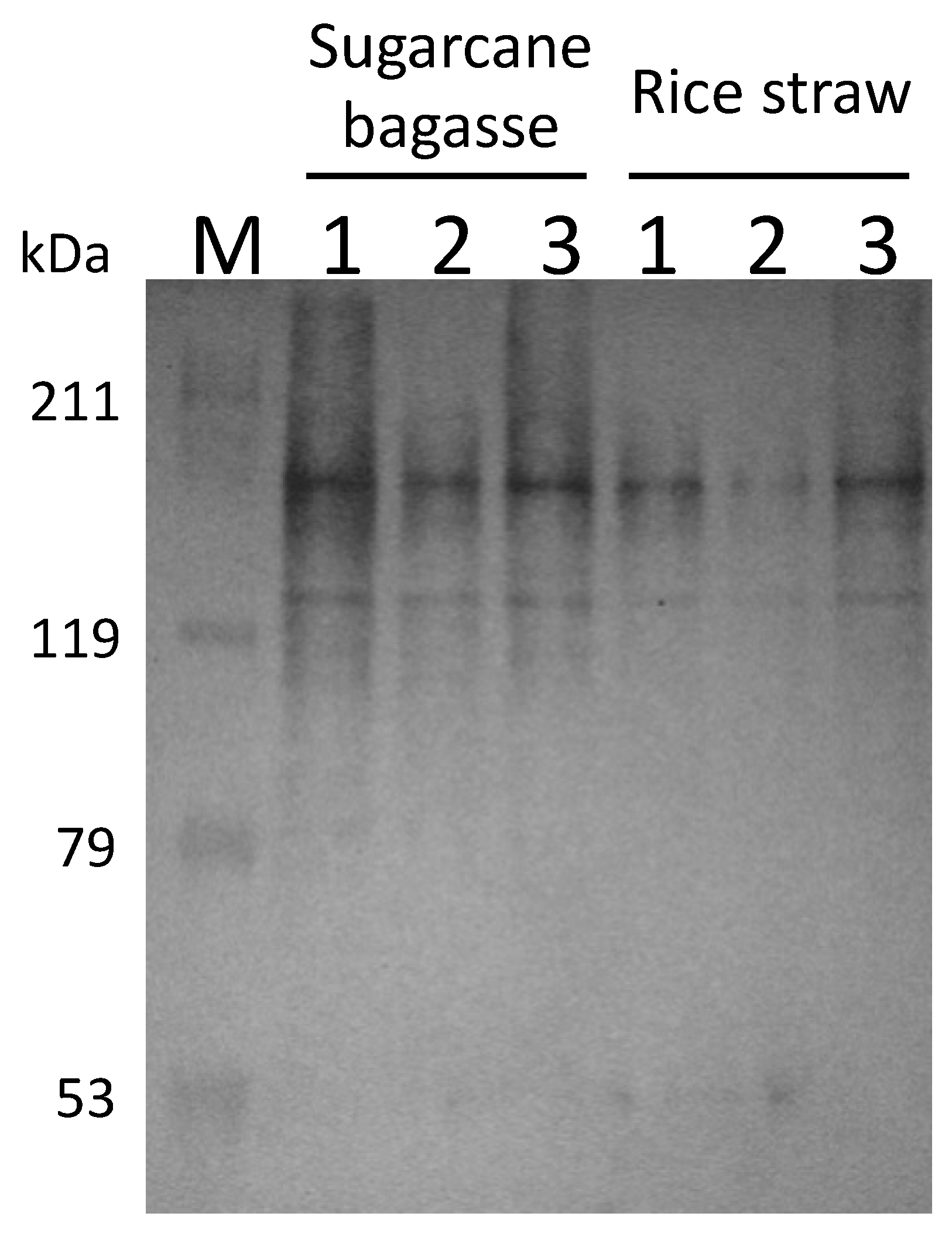 Microorganisms 10 02514 g004