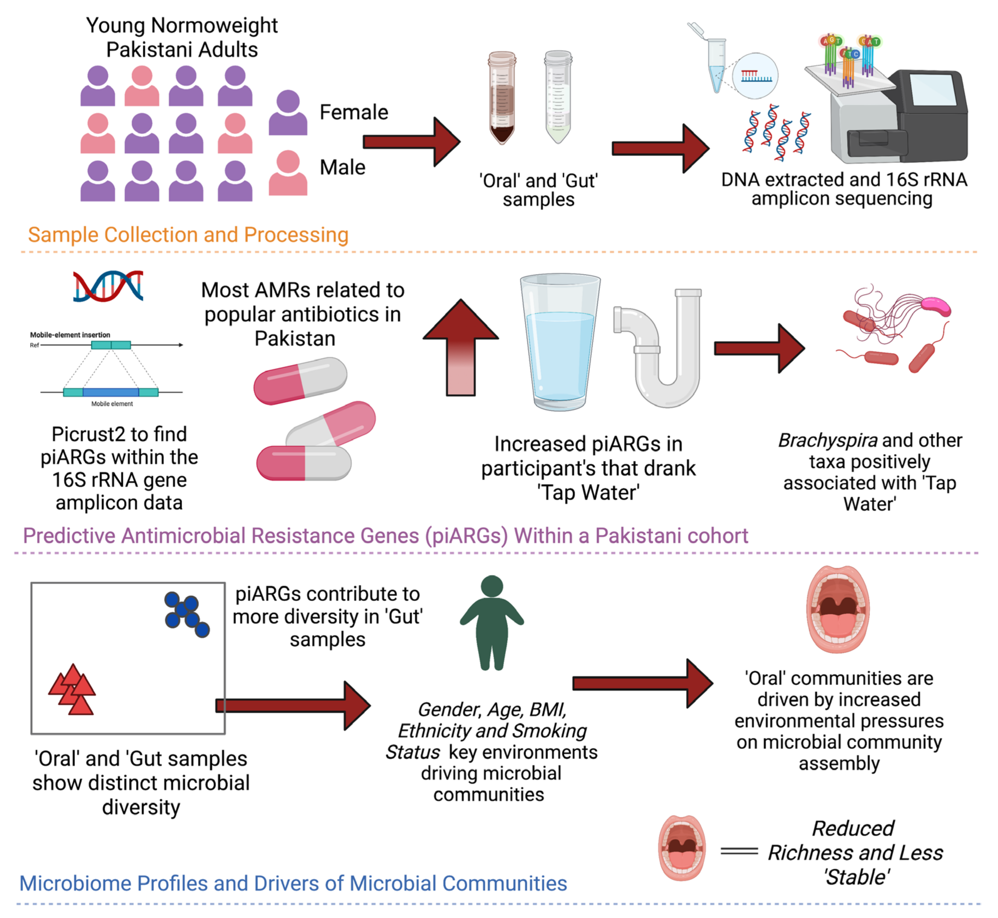 Microorganisms 11 00279 g008