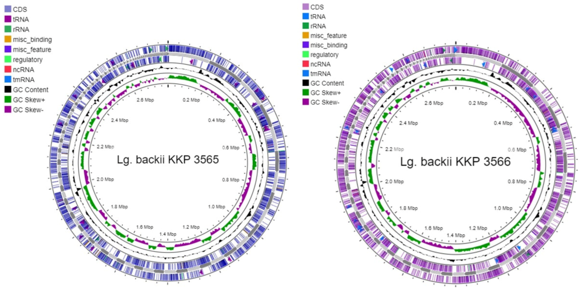 Microorganisms 11 00280 g001