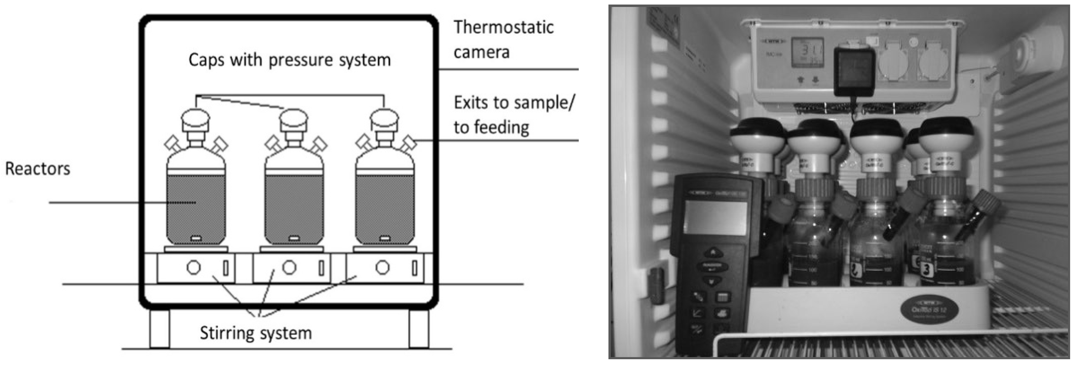 Microorganisms 11 00285 g001
