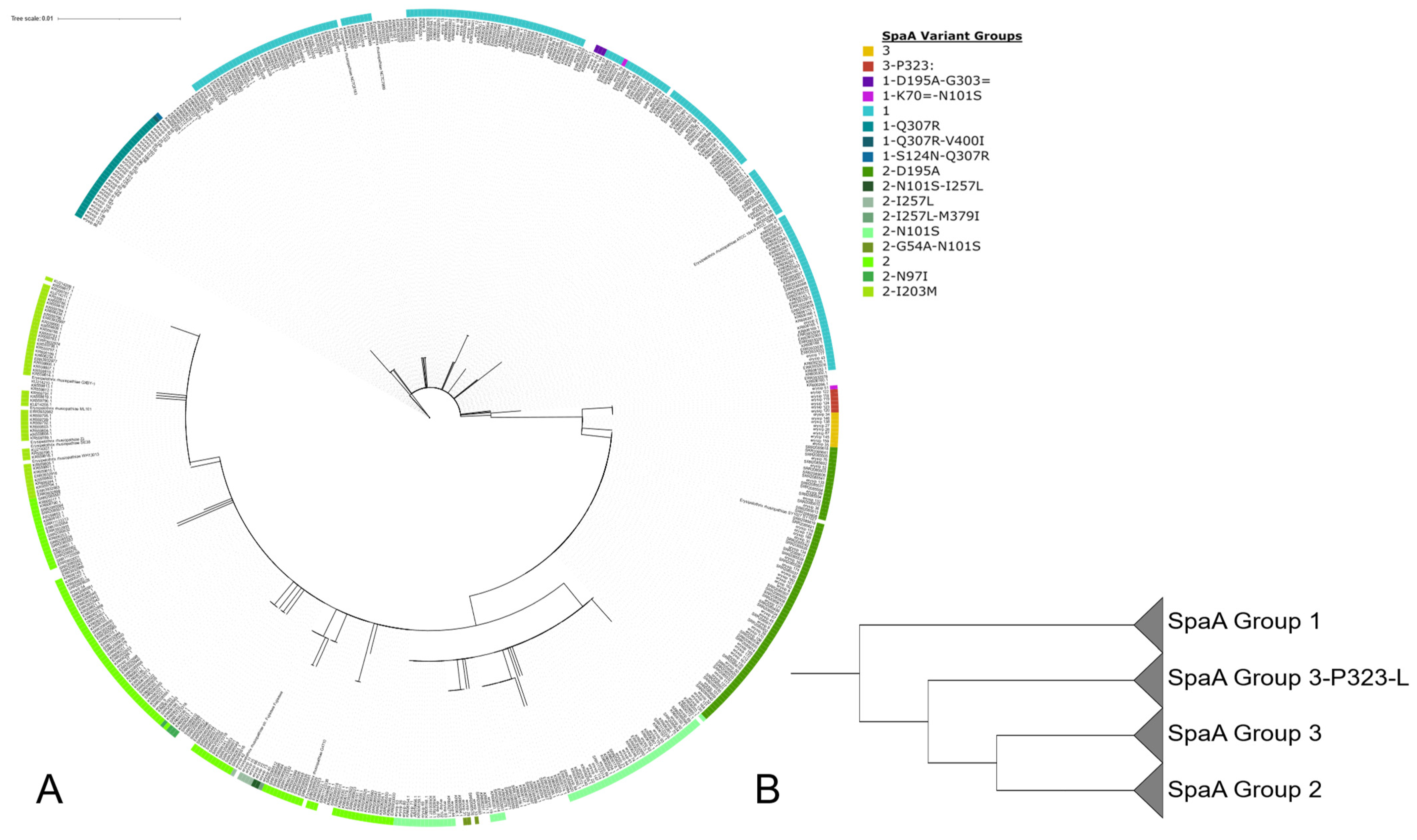 Microorganisms 11 00297 g004
