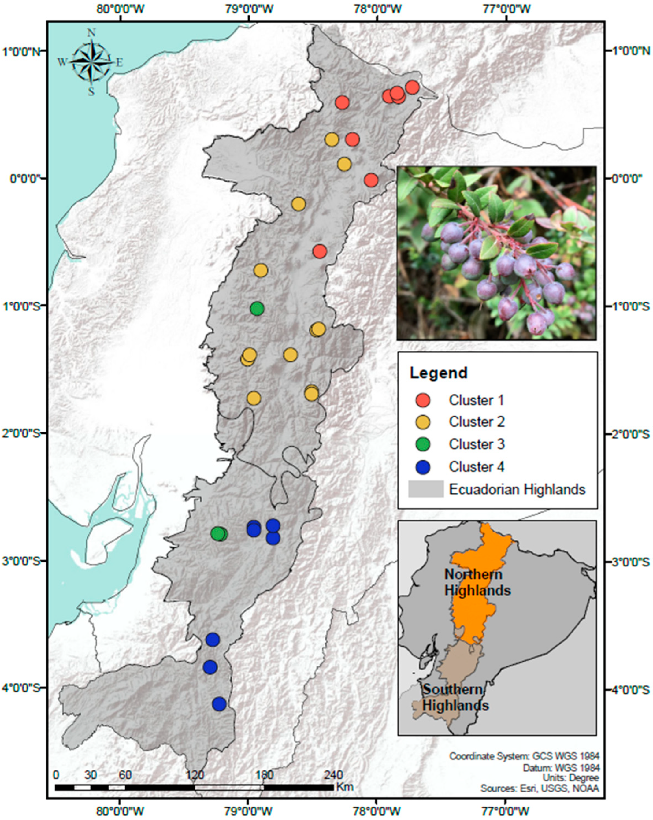 Microorganisms 11 00399 g001