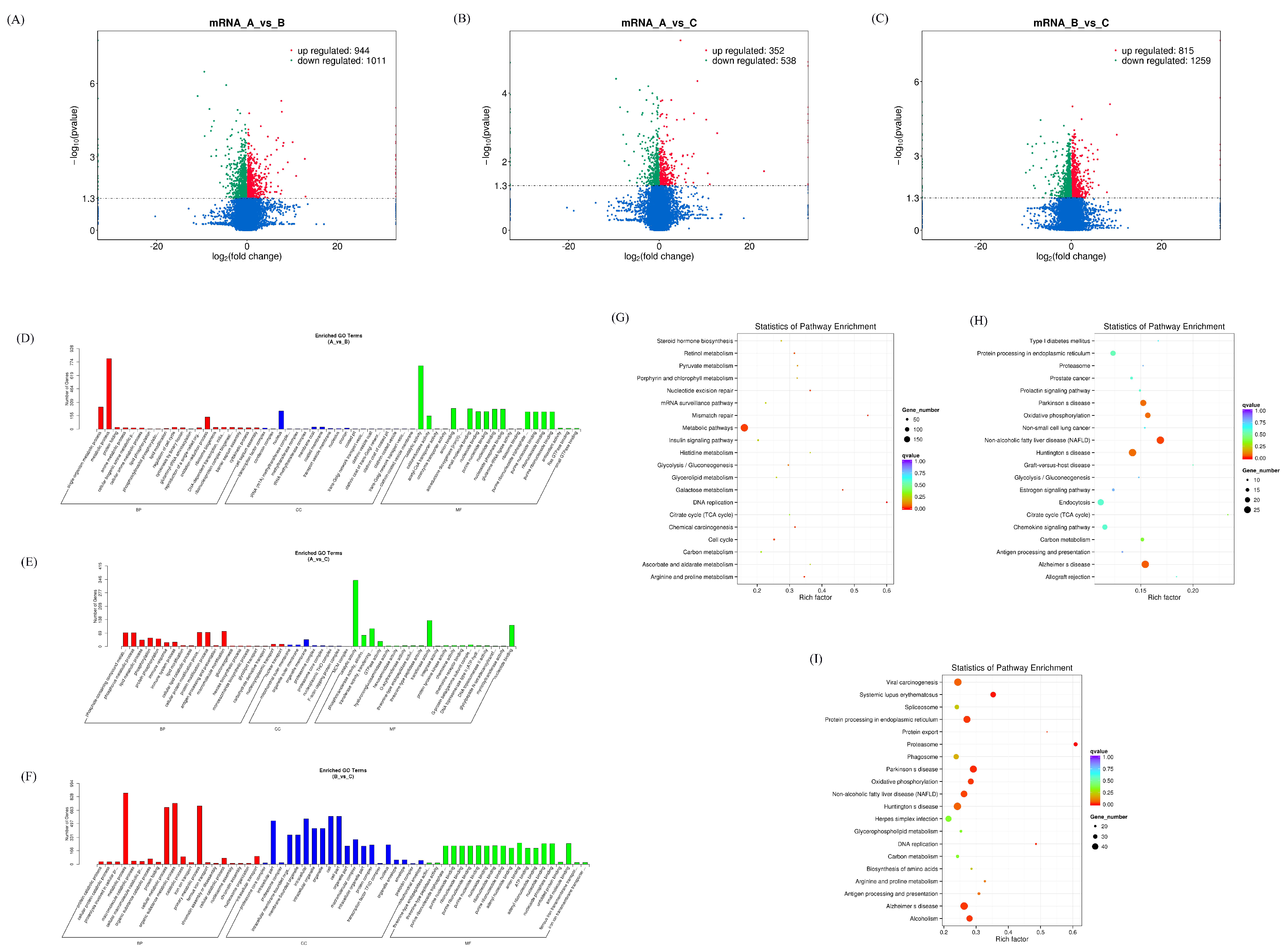 Microorganisms 11 00409 g001