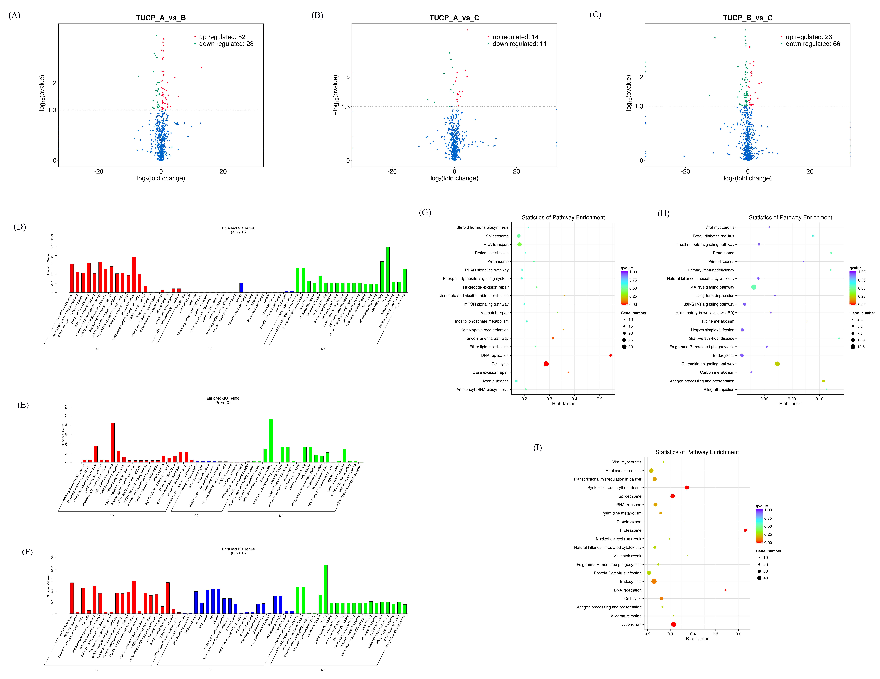 Microorganisms 11 00409 g008