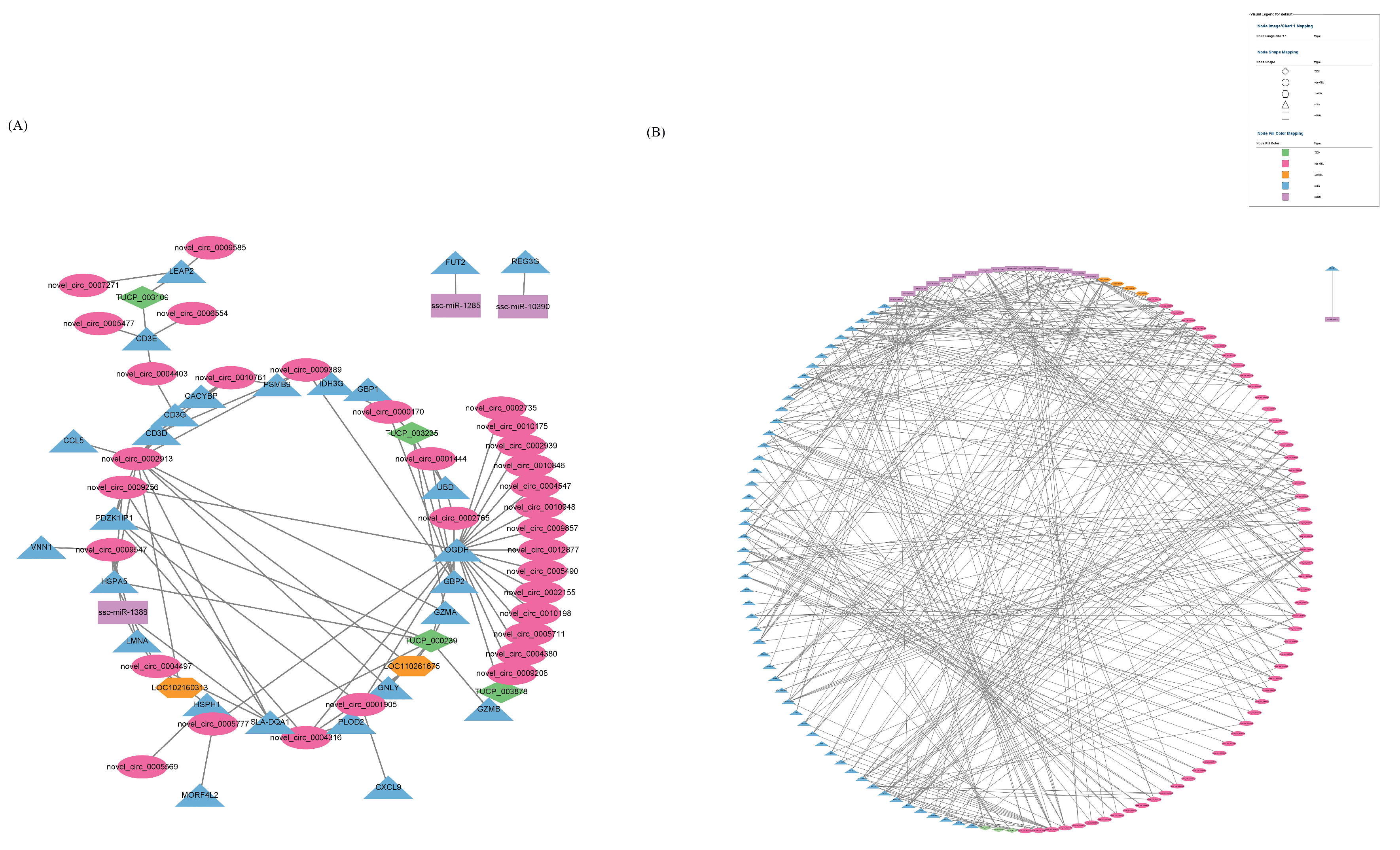 Microorganisms 11 00409 g010