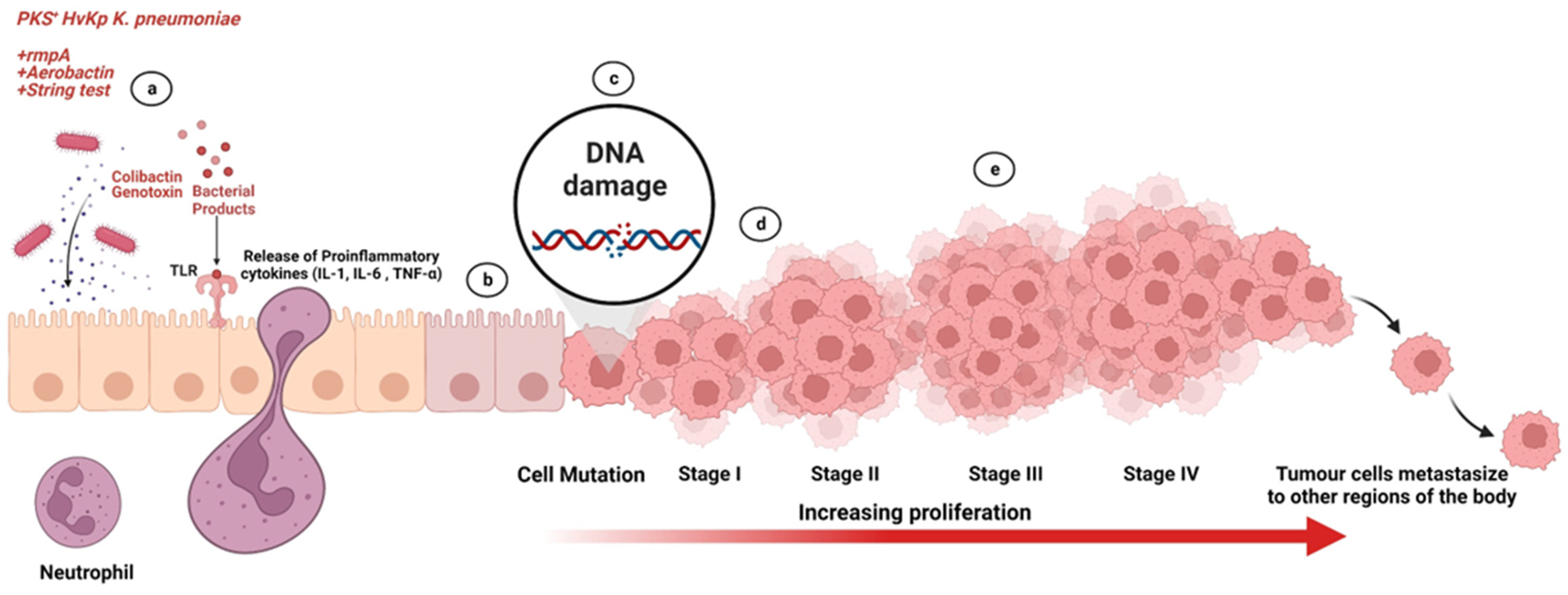 Microorganisms 11 00443 g011