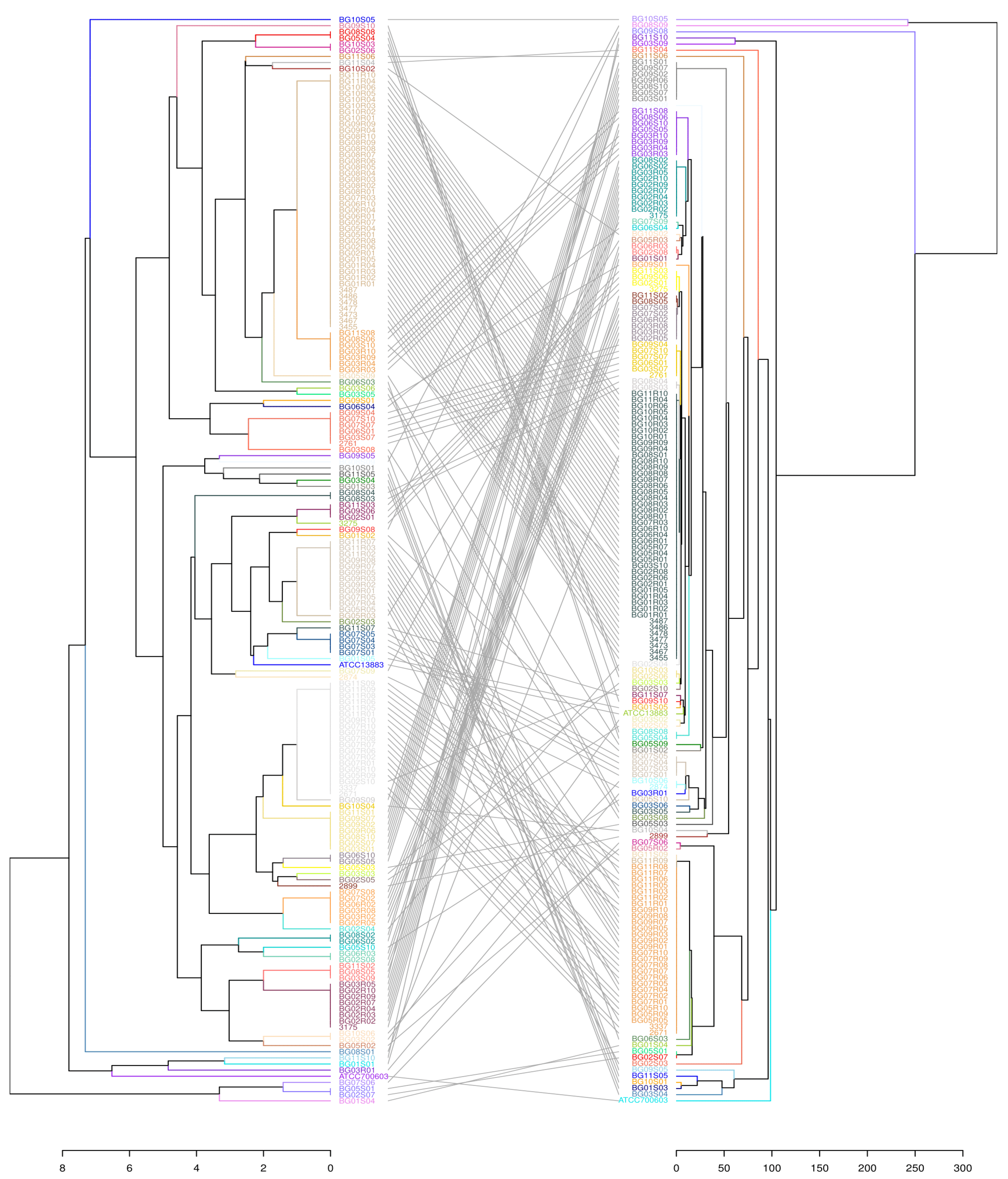 Microorganisms 11 00444 g003 Microorganisms 11 00444 g003