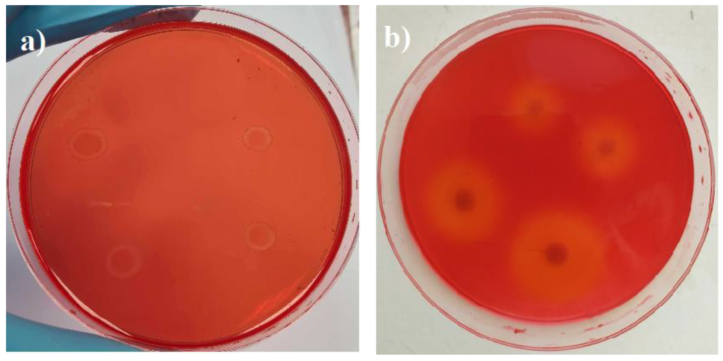 Microorganisms 11 00477 g002
