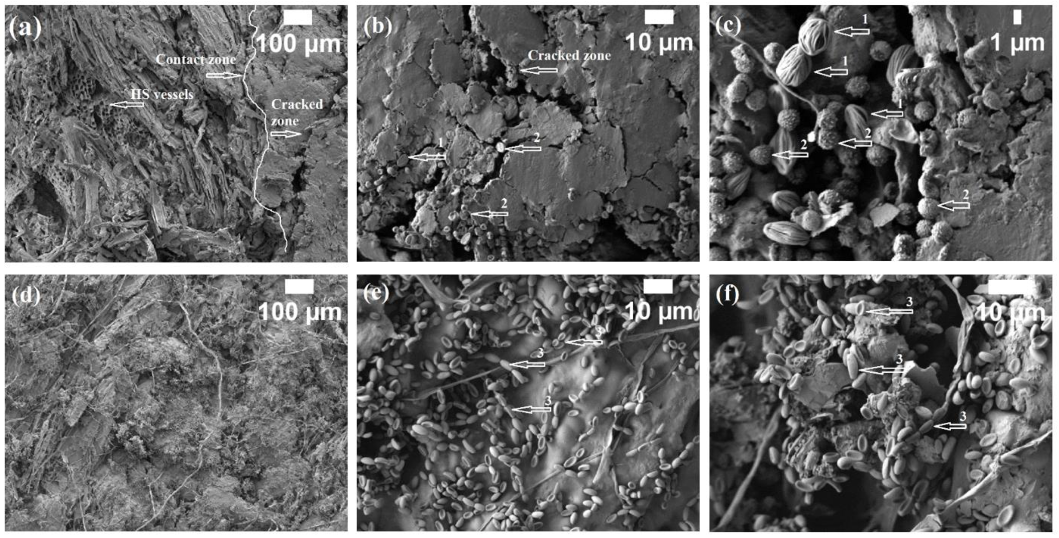 Microorganisms 11 00477 g005