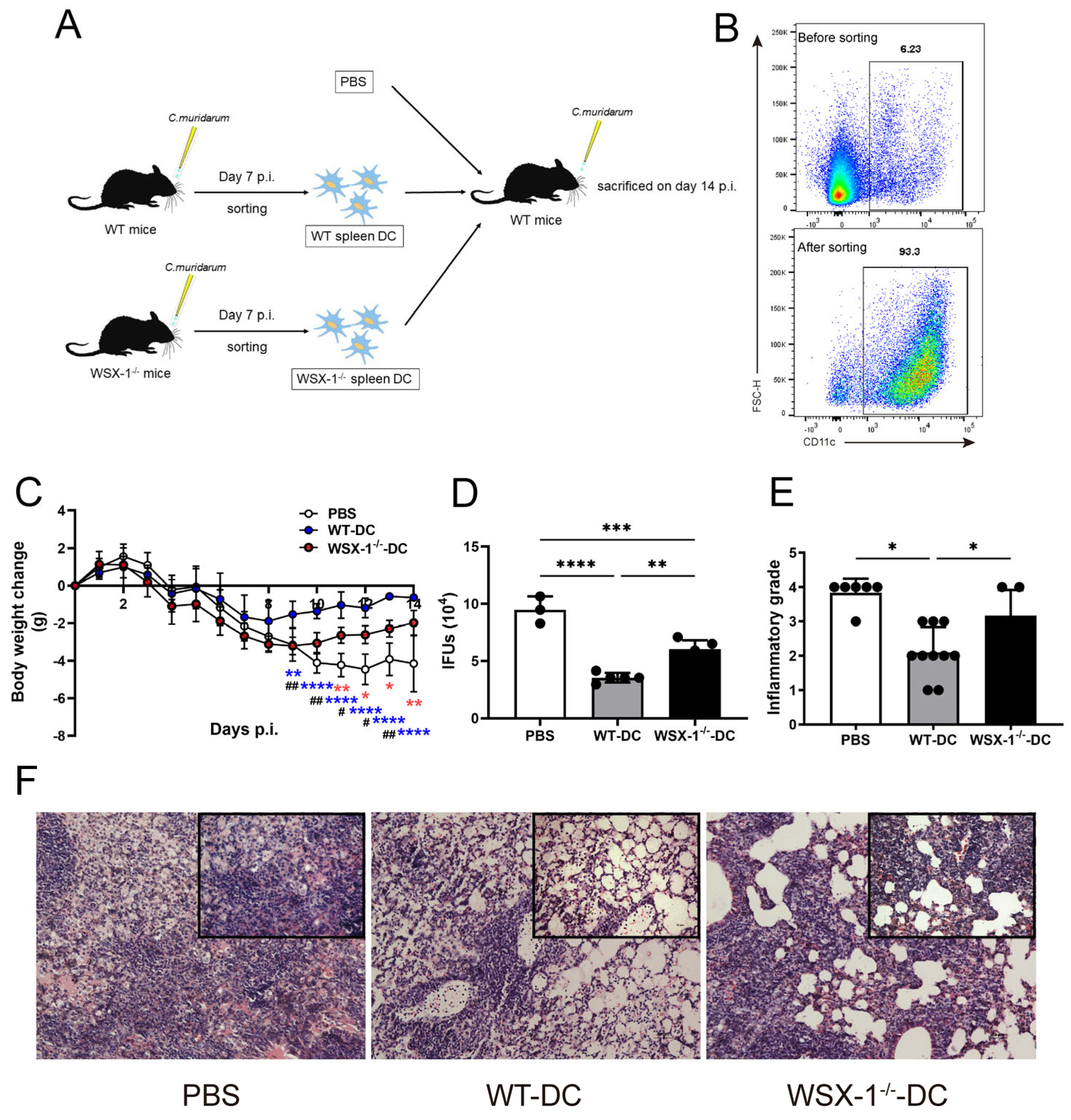 Microorganisms 11 00604 g002