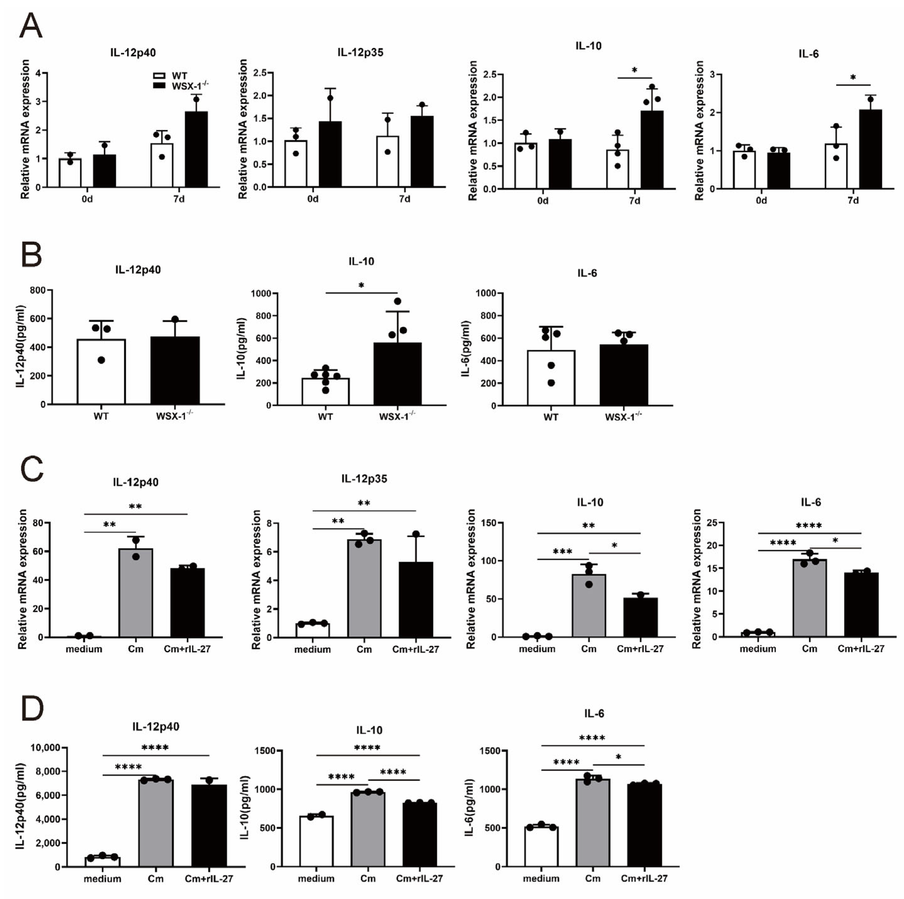 Microorganisms 11 00604 g006
