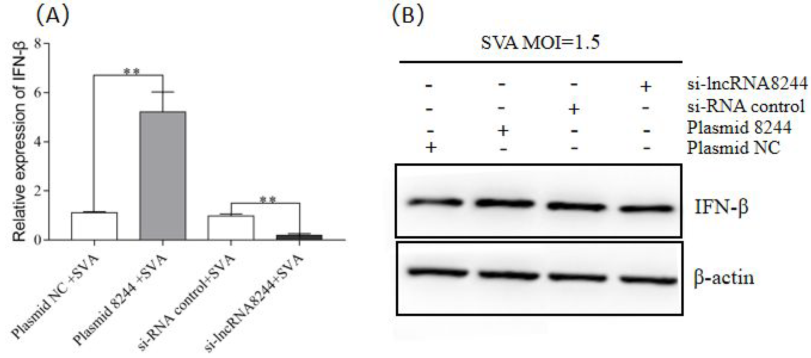Microorganisms 11 00688 g002