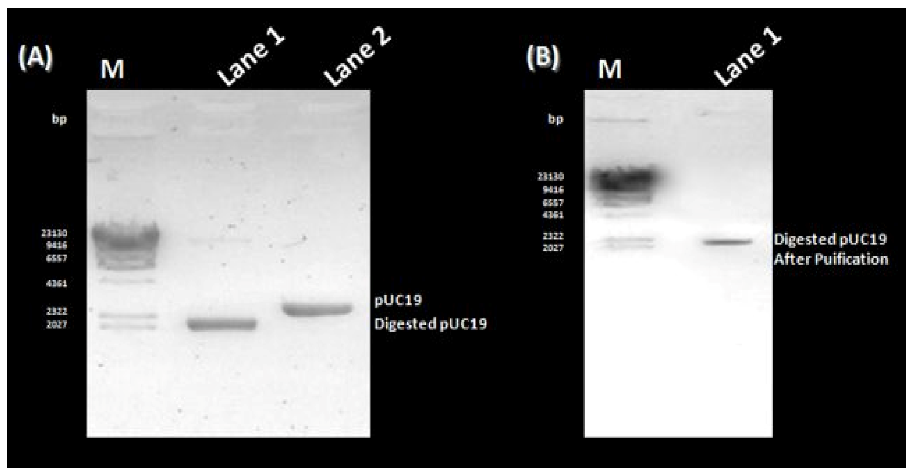 Microorganisms 11 01192 g002