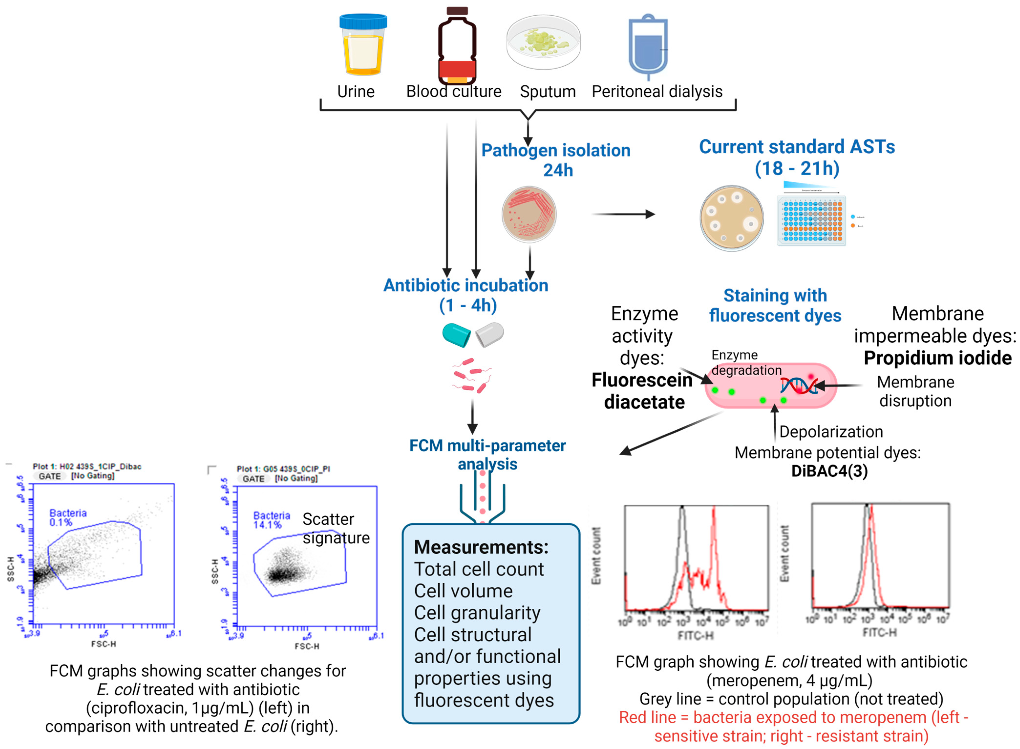 Microorganisms 11 01300 g002