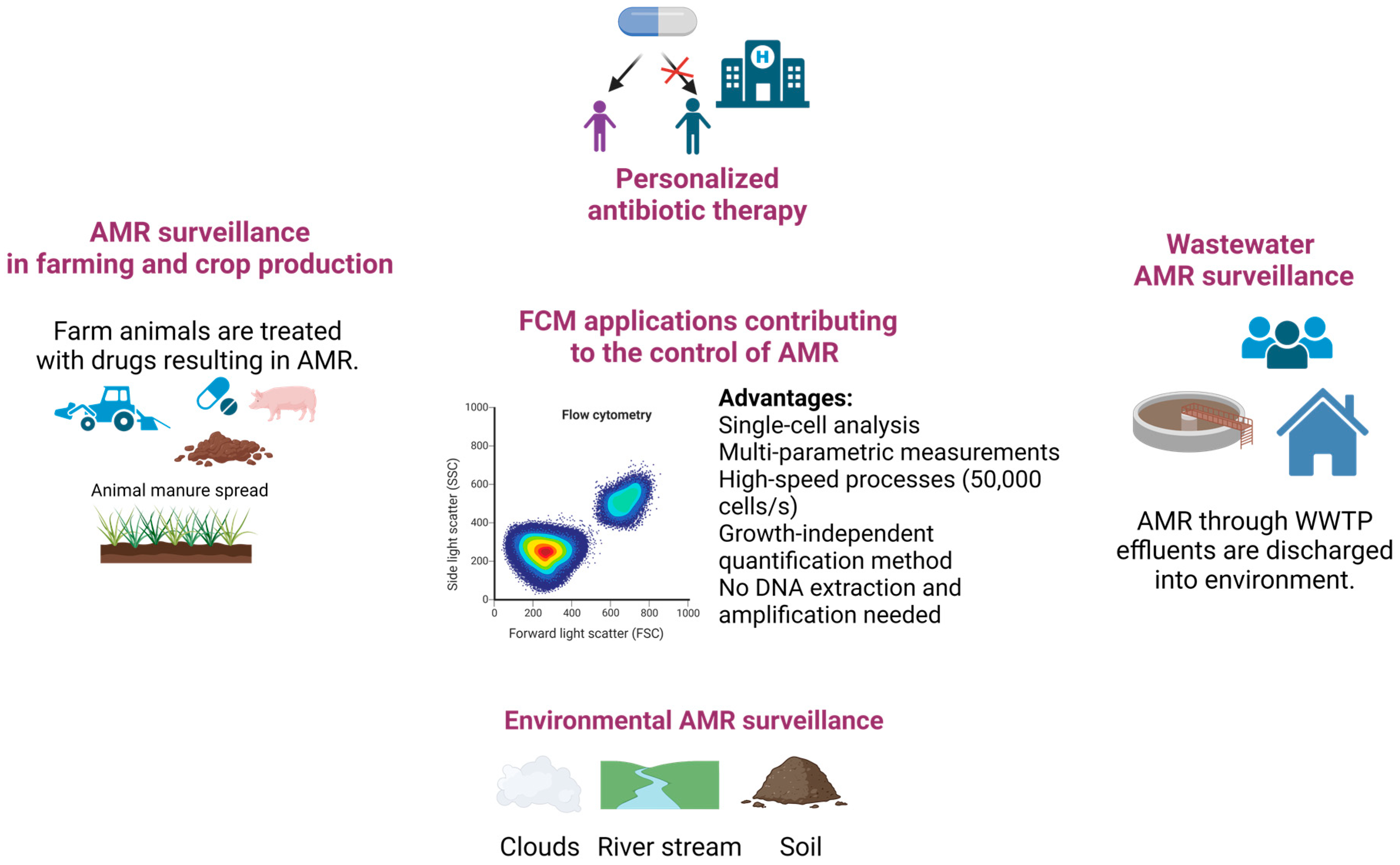 Microorganisms 11 01300 g003