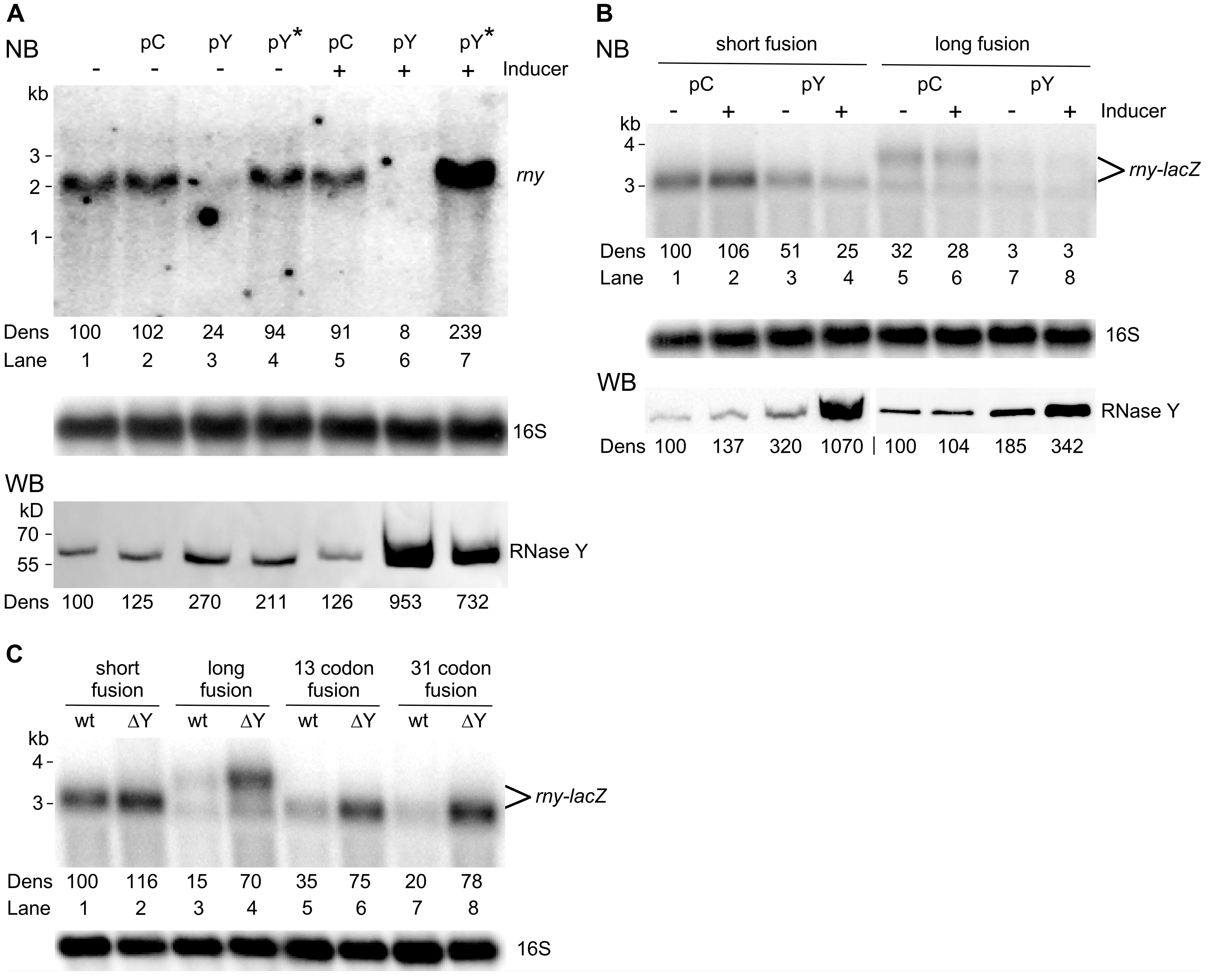 Microorganisms 11 01374 g002