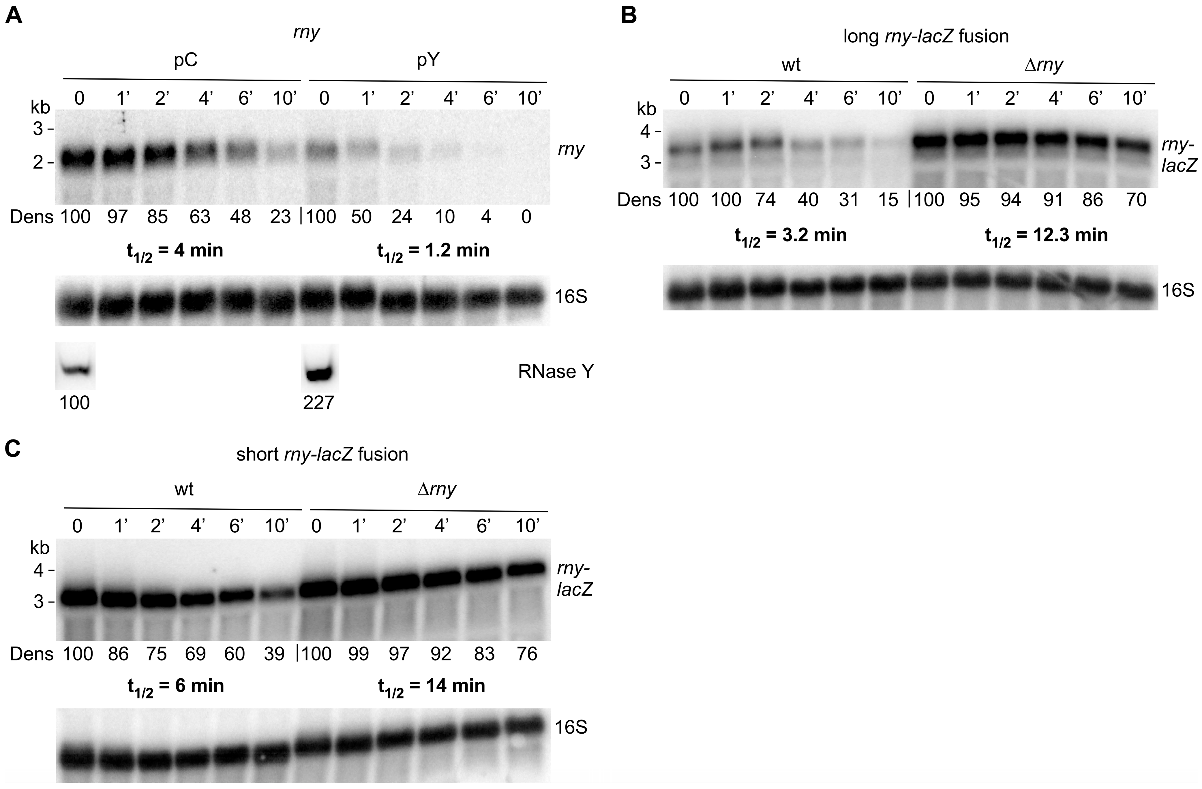 Microorganisms 11 01374 g003