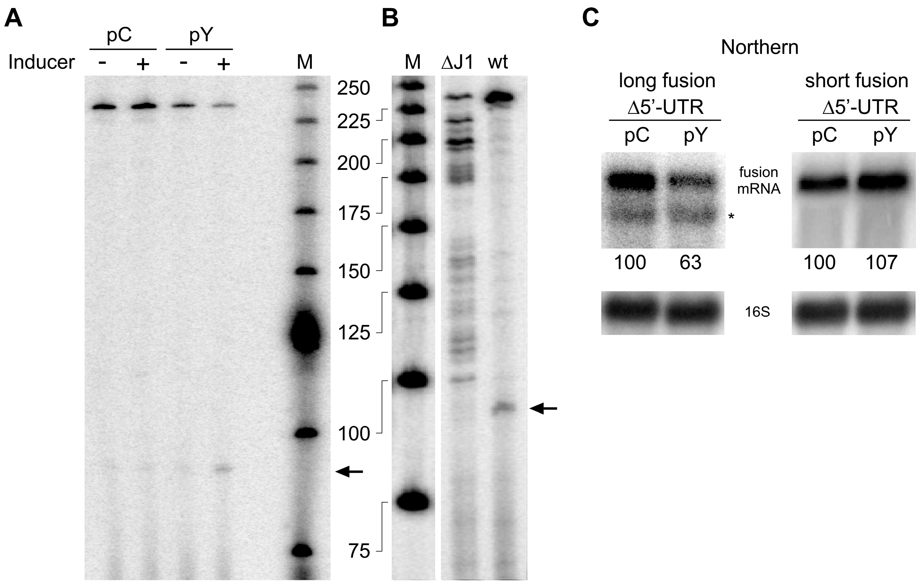 Microorganisms 11 01374 g004