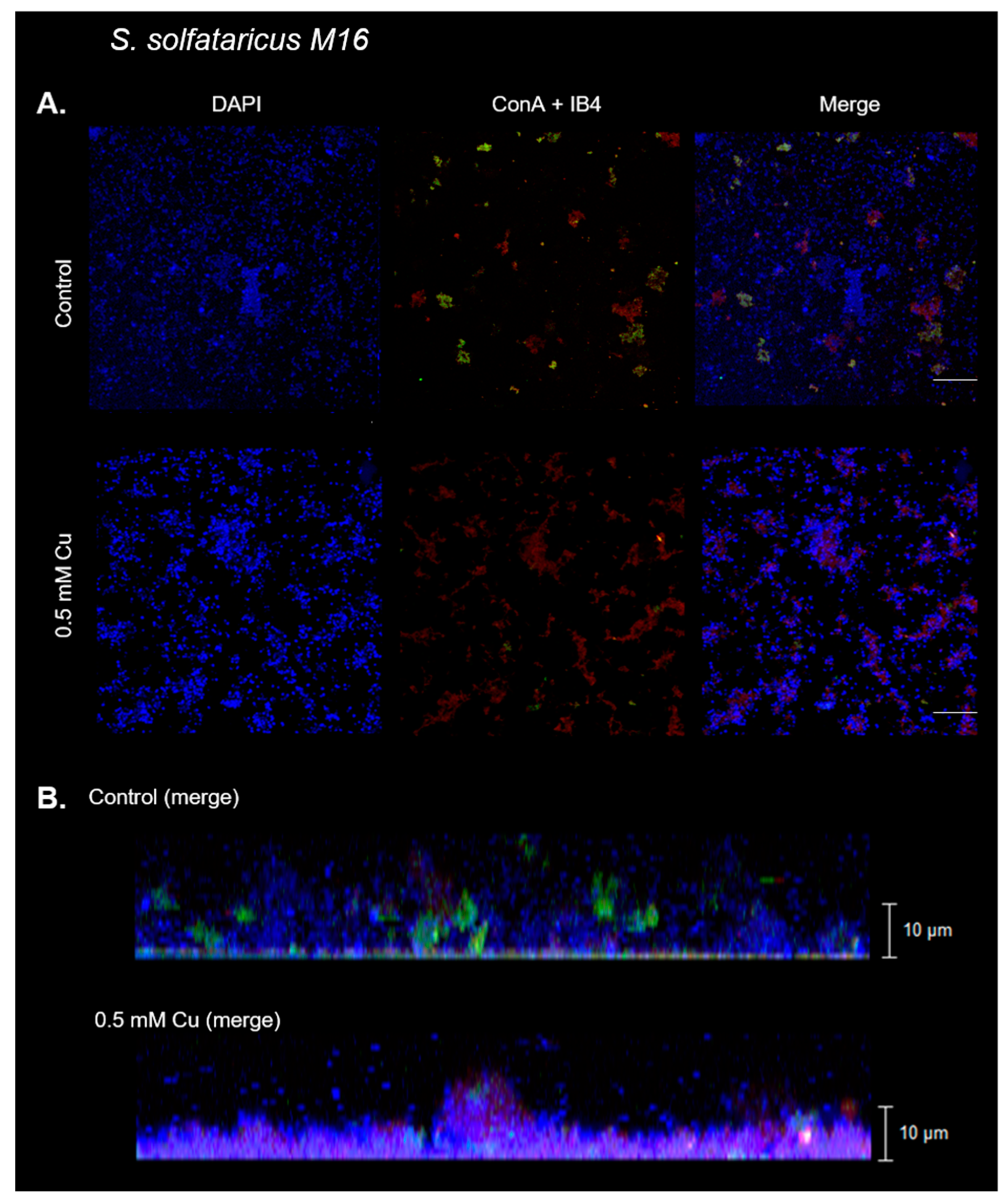 Microorganisms 11 01421 g002