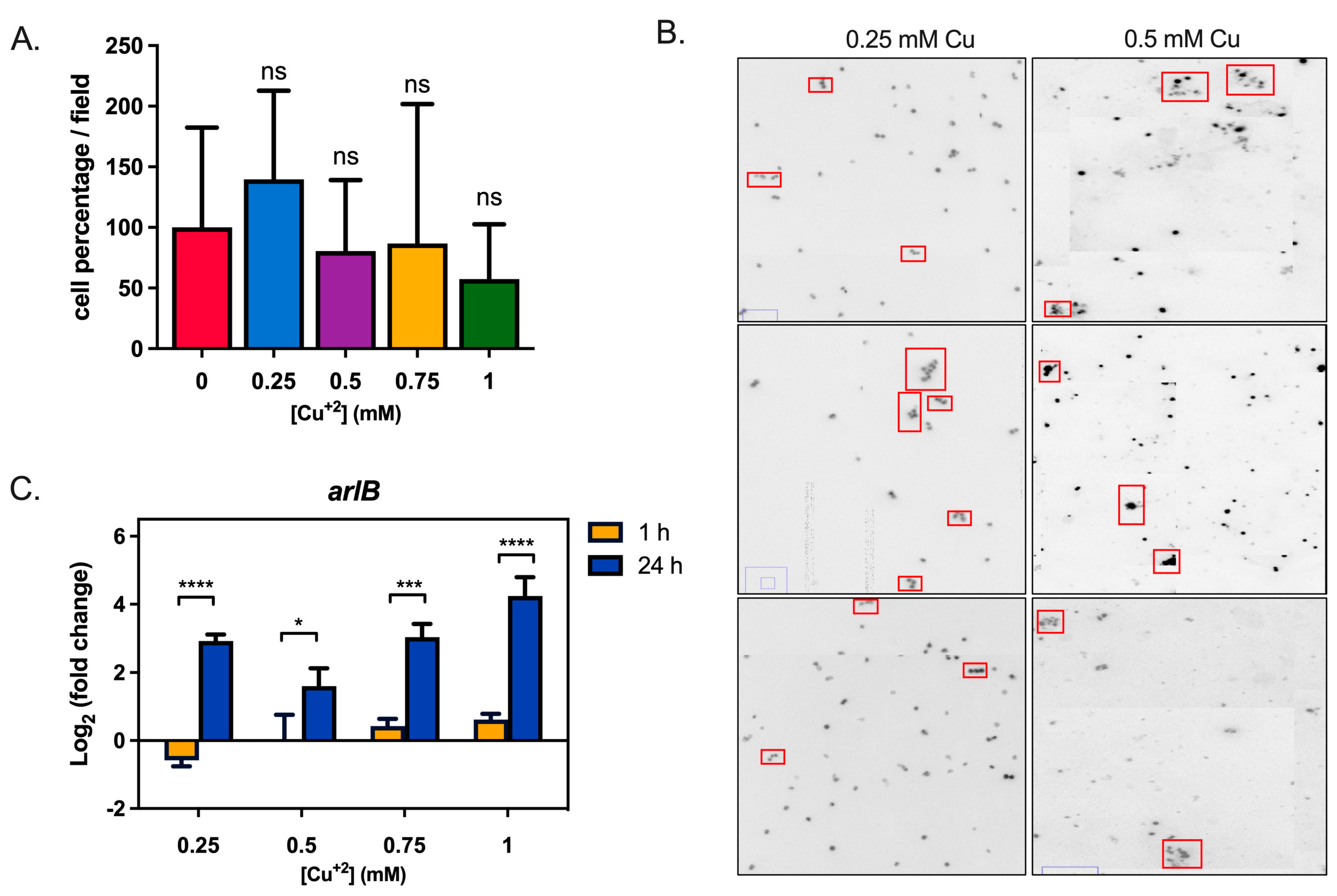Microorganisms 11 01421 g004