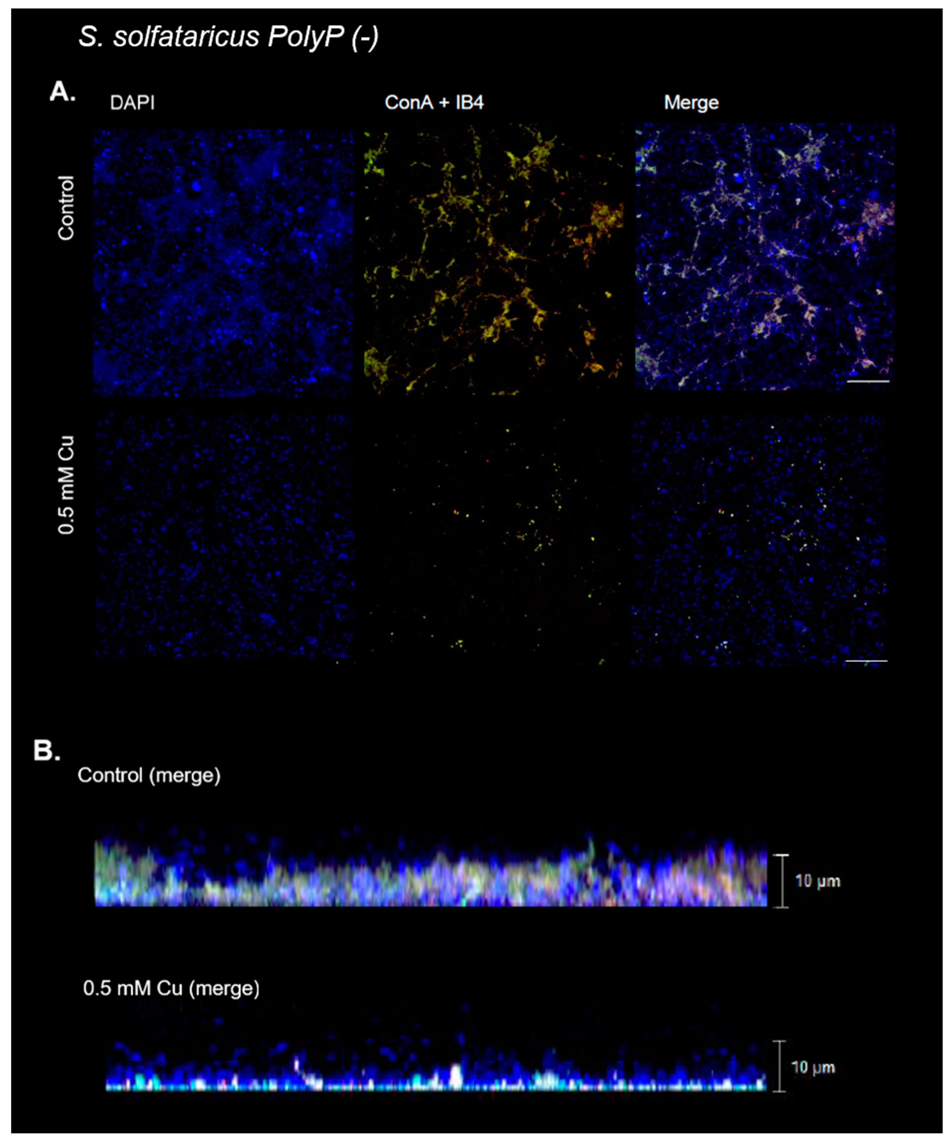 Microorganisms 11 01421 g007