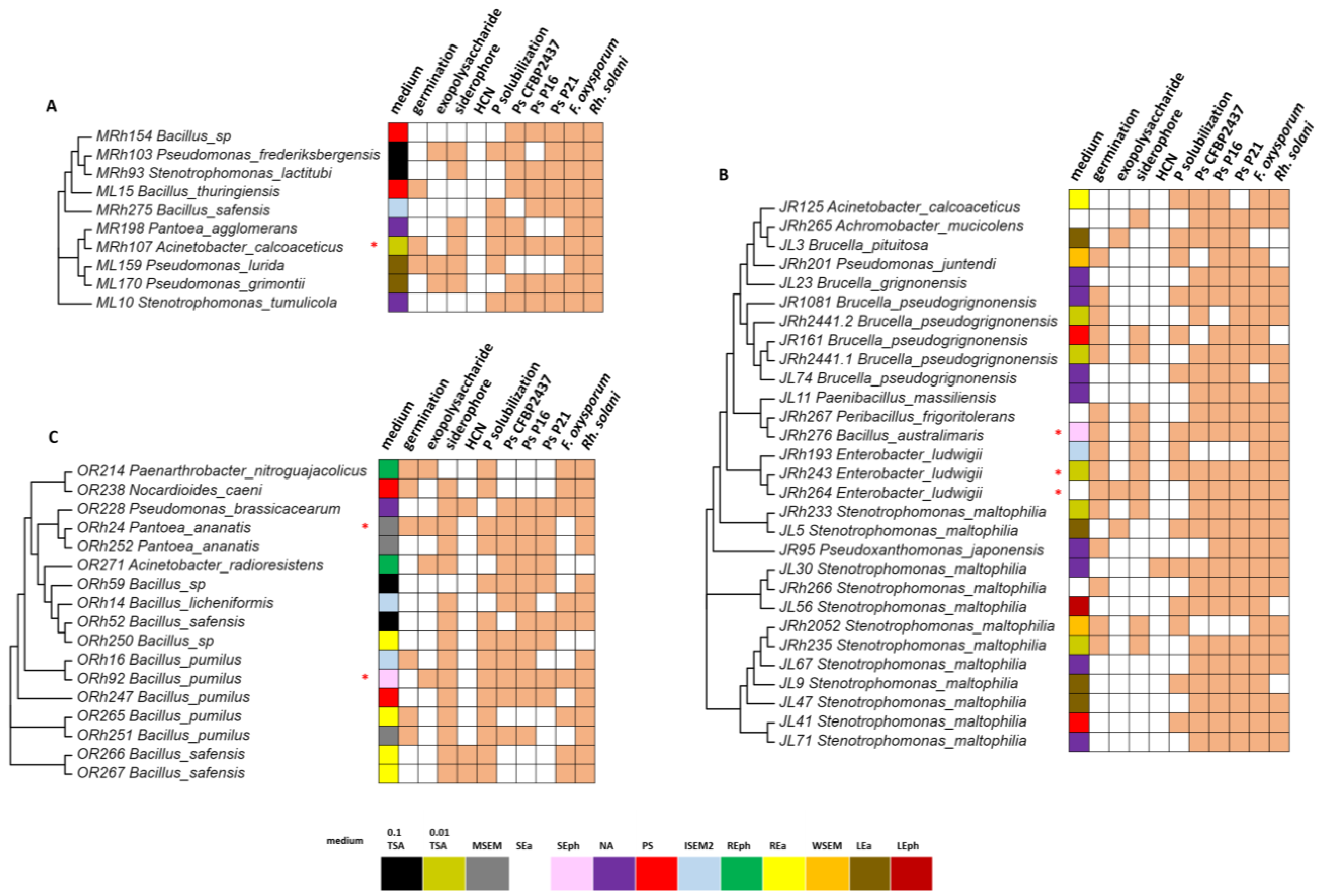 Microorganisms 11 01538 g003