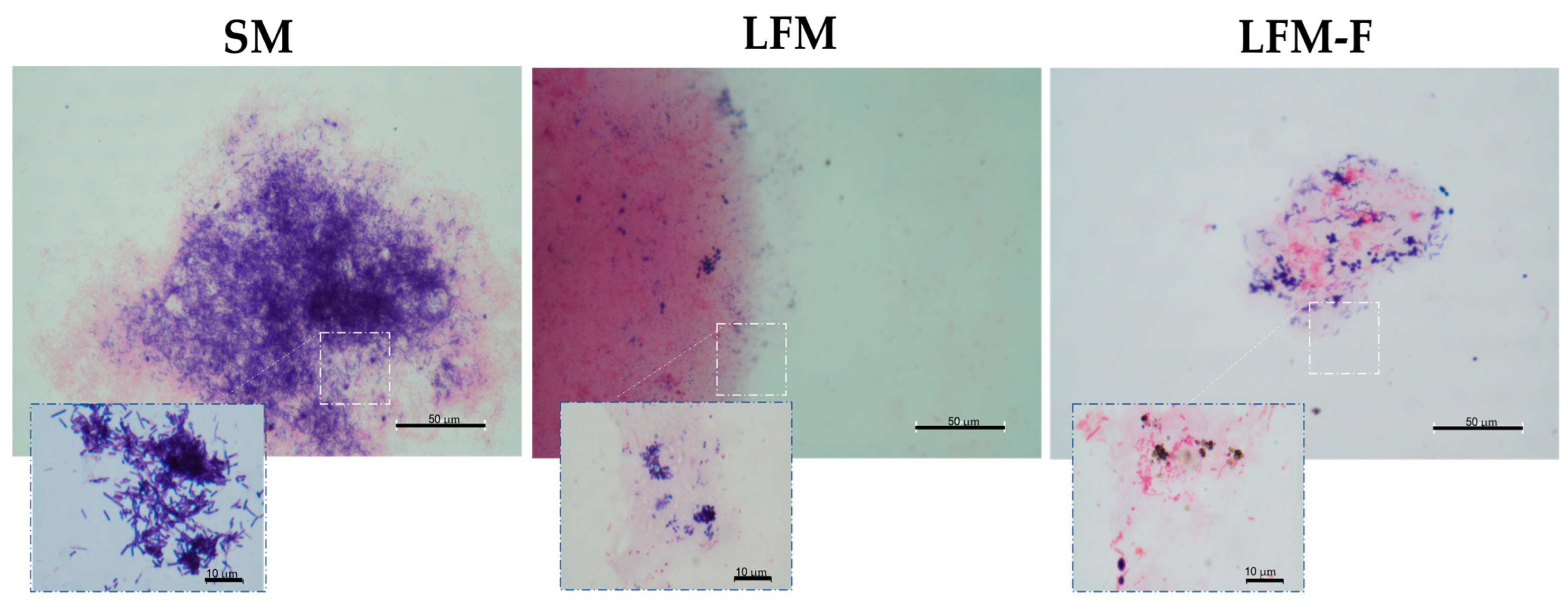 Microorganisms 11 01570 g005
