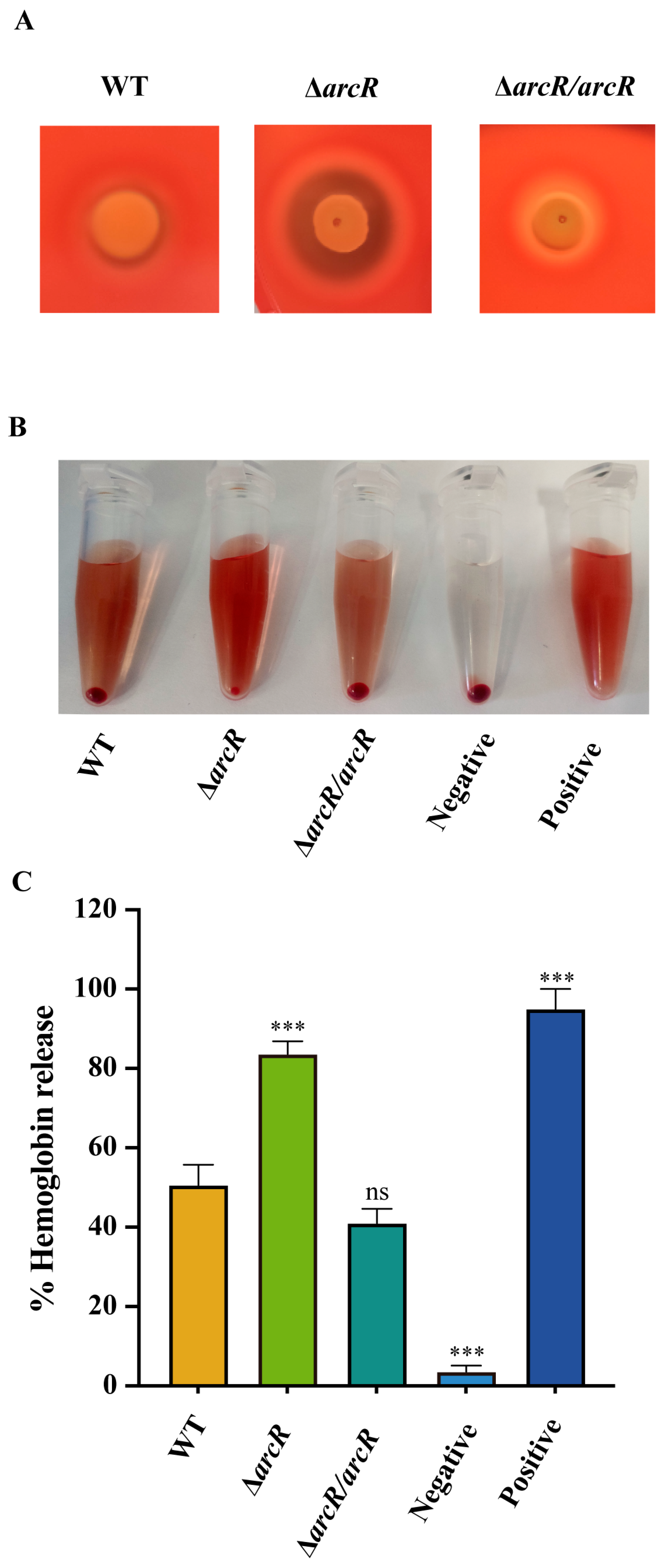 Microorganisms 11 01656 g001