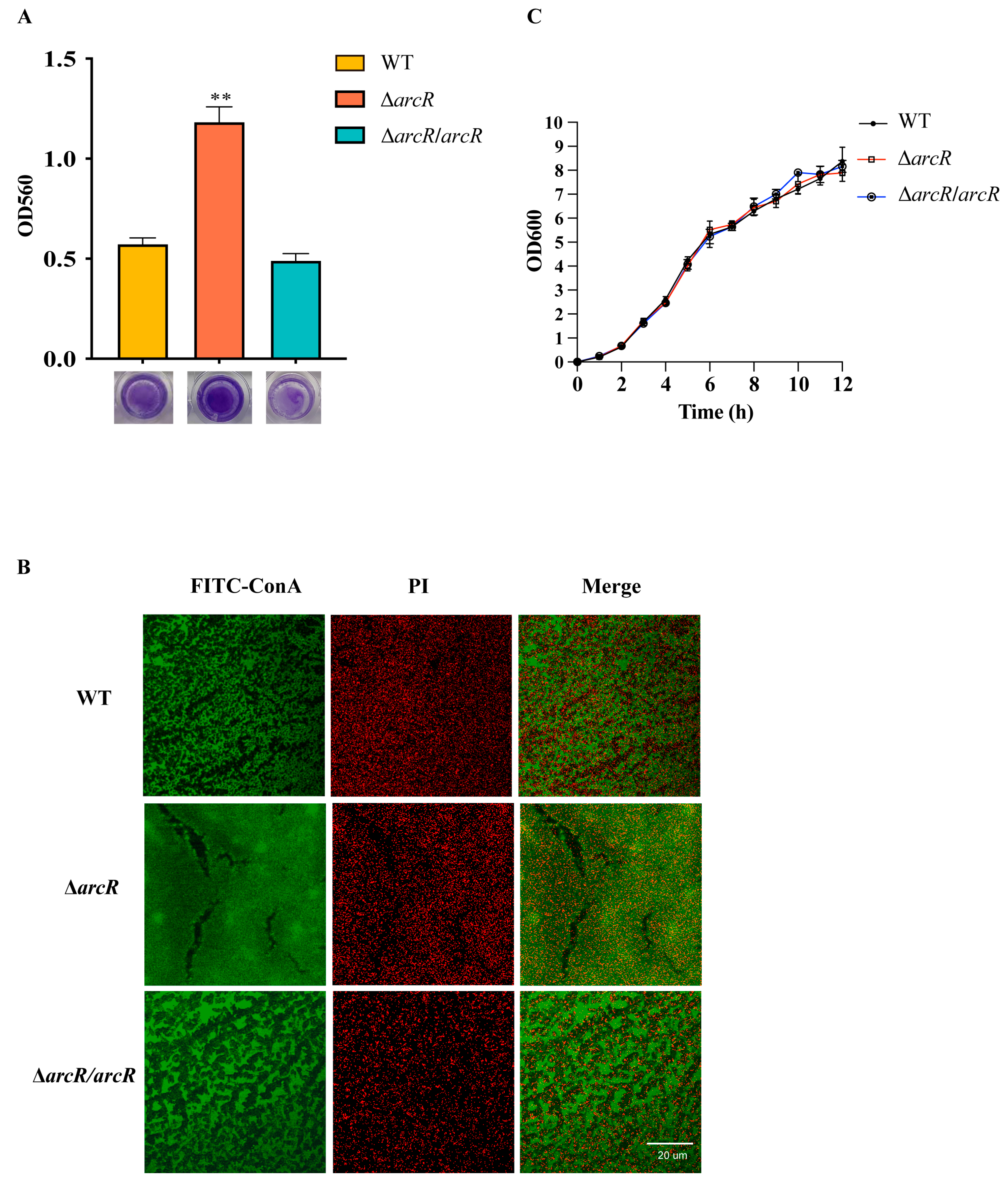 Microorganisms 11 01656 g002