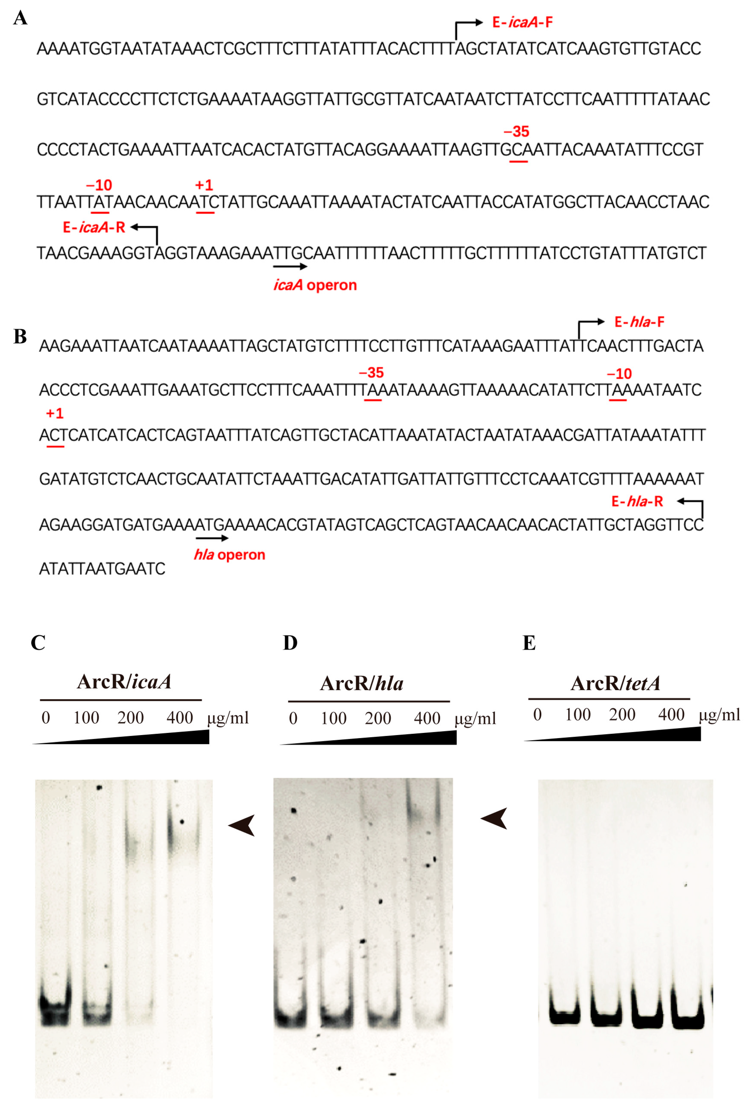 Microorganisms 11 01656 g006